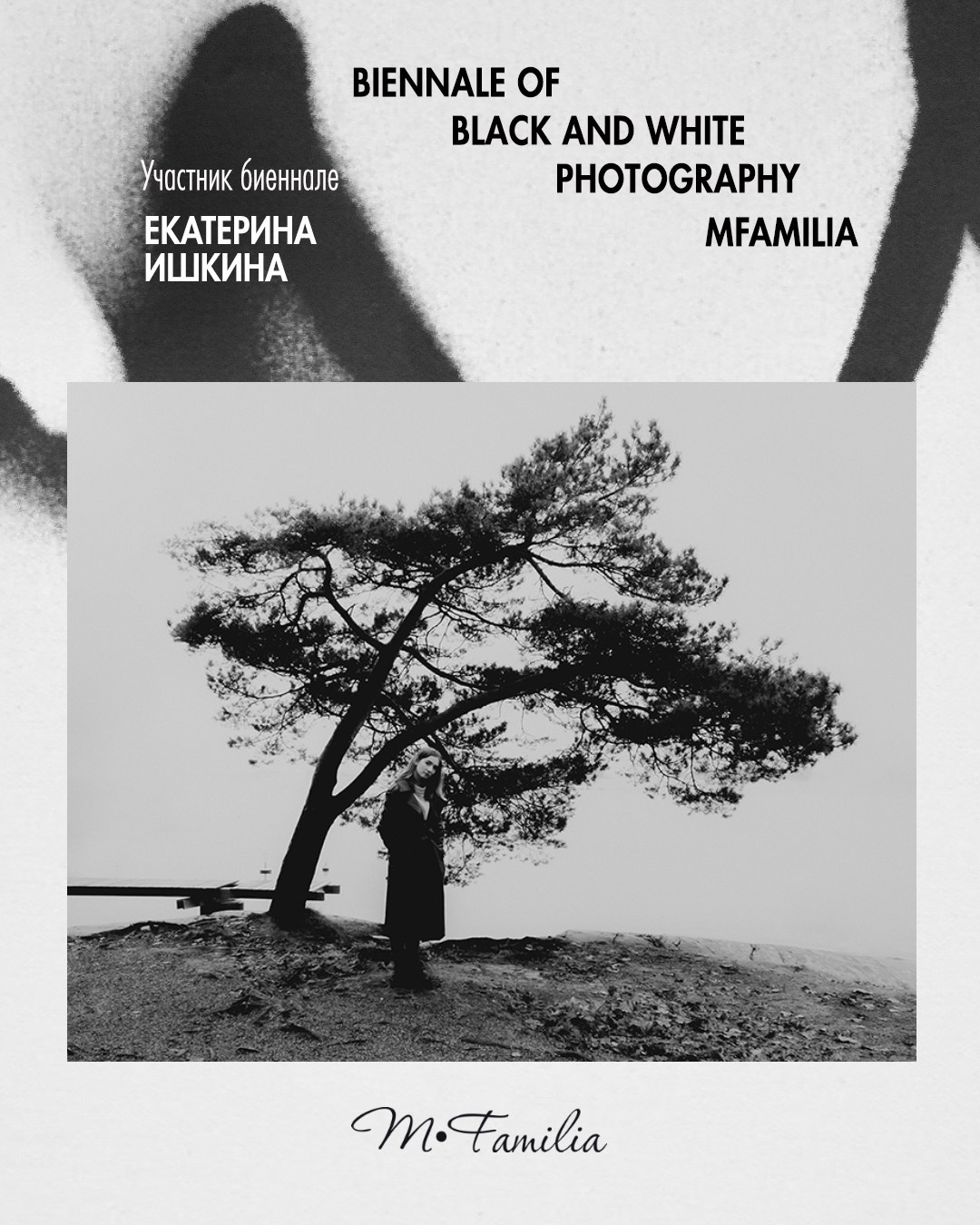 Ишкина Екатерина. Организация фотовыставок в Петербурге и Москве, MFamilia (МФамилия)