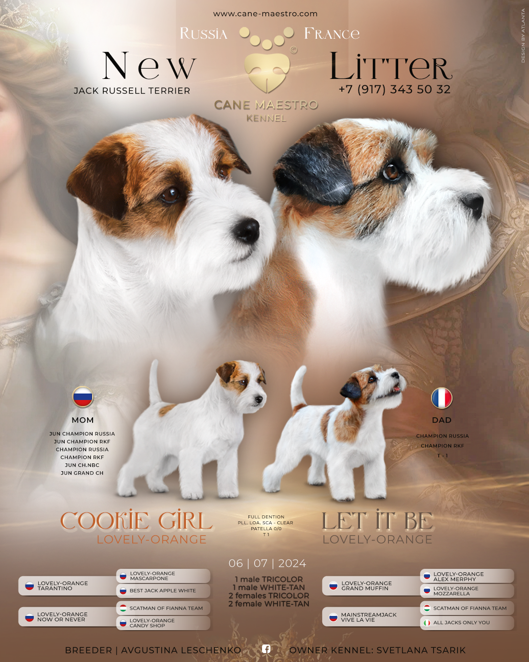 Презентация помета щенков Джек рассел терьер. Питомник «КАНЕ МАЭСТРО»
