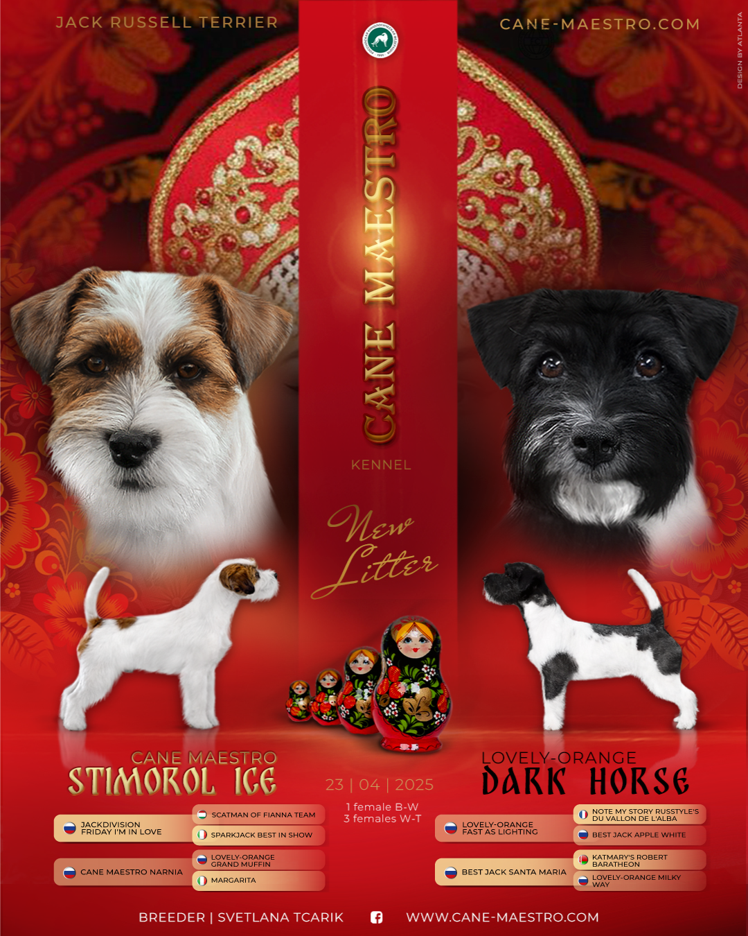 LITTERS. CANE MAESTRO — kennel Jack Russell Terrier