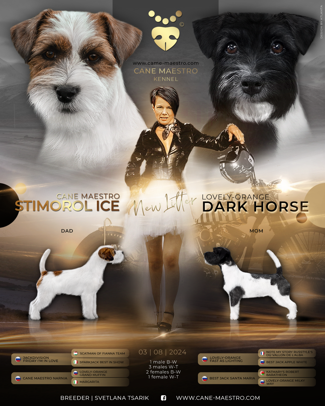 LITTER «Х» 03/08/2024. CANE MAESTRO — kennel Jack Russell Terrier
