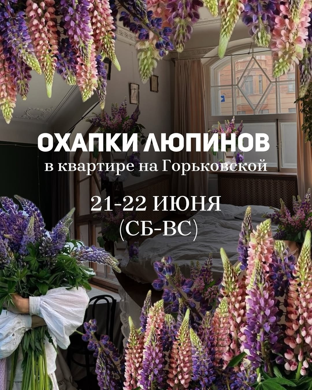 Фотосессия с люпинами в студии фотодень. Фотограф в Санкт-Петербурге, Анна Скворцова