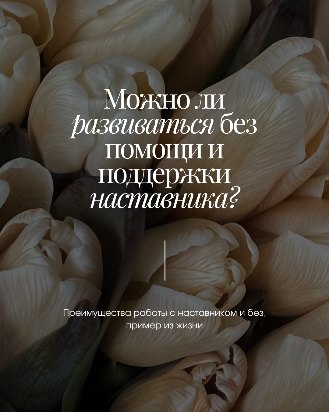 Хаос и система: как определить, находится ли ваш личный бренд в хаосе?