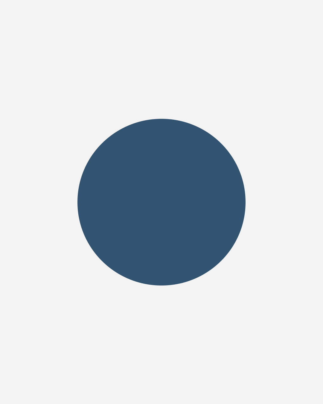 Project manager digital Настя Галингер