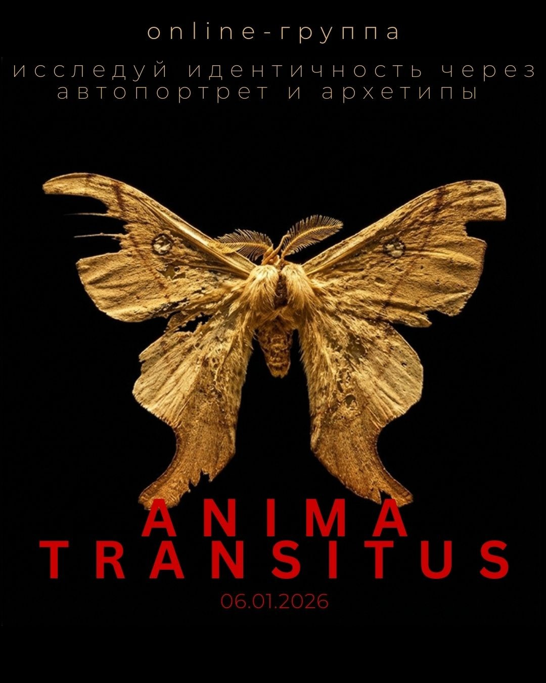 THERAPY LAYER. Сocoobird || Capturing the Essence of Your Brand in Photos & Videos