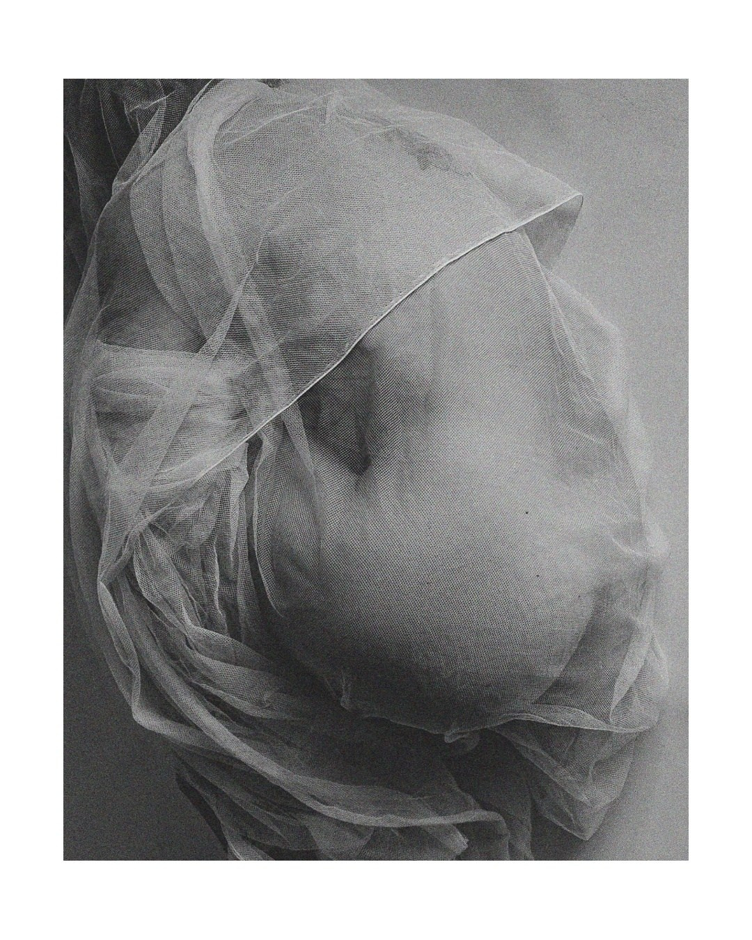 Price. Masha Obatnina