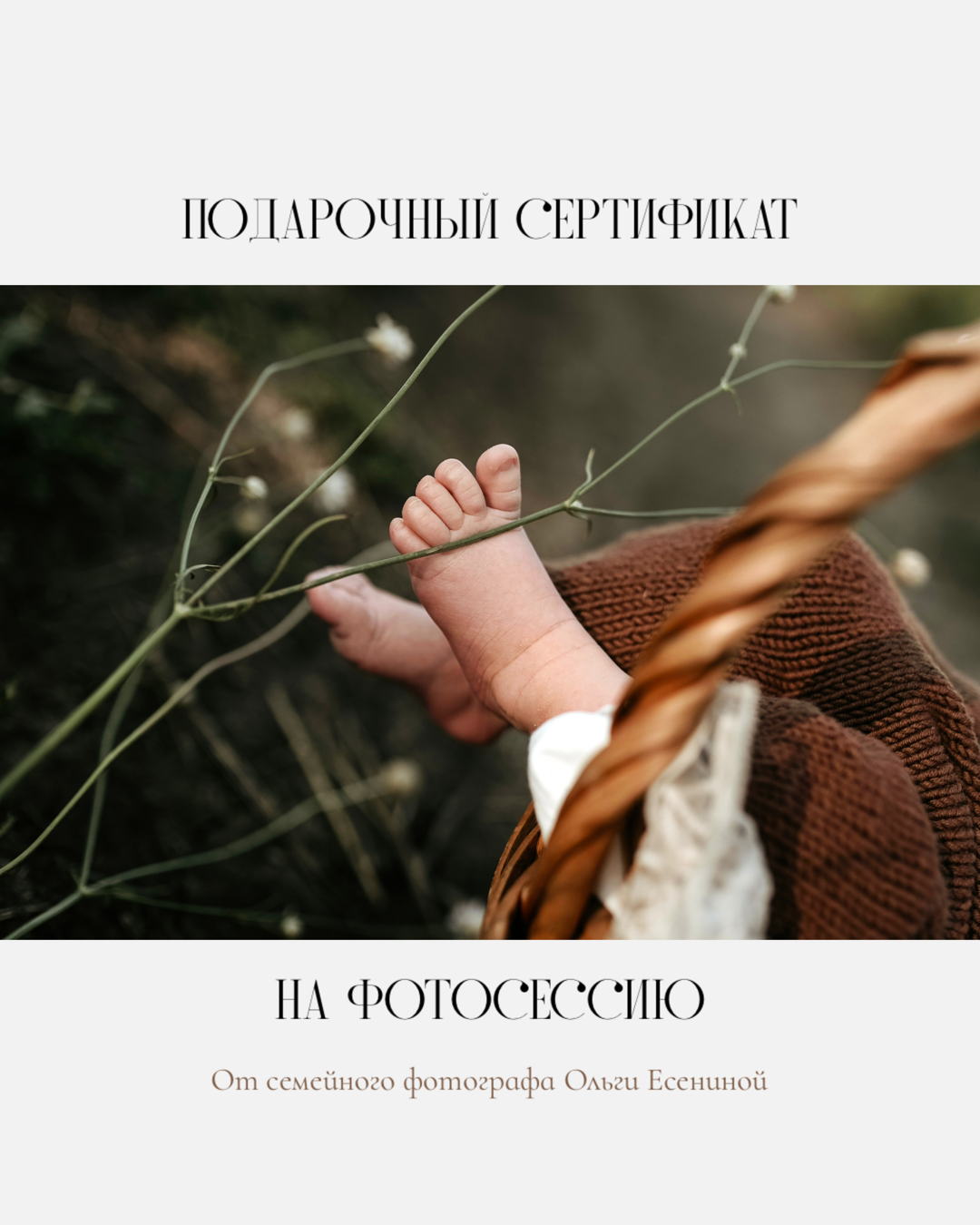 Подарочный сертификат. Семейный и детский фотограф в Ростове-на-Дону Ольга Есенина
