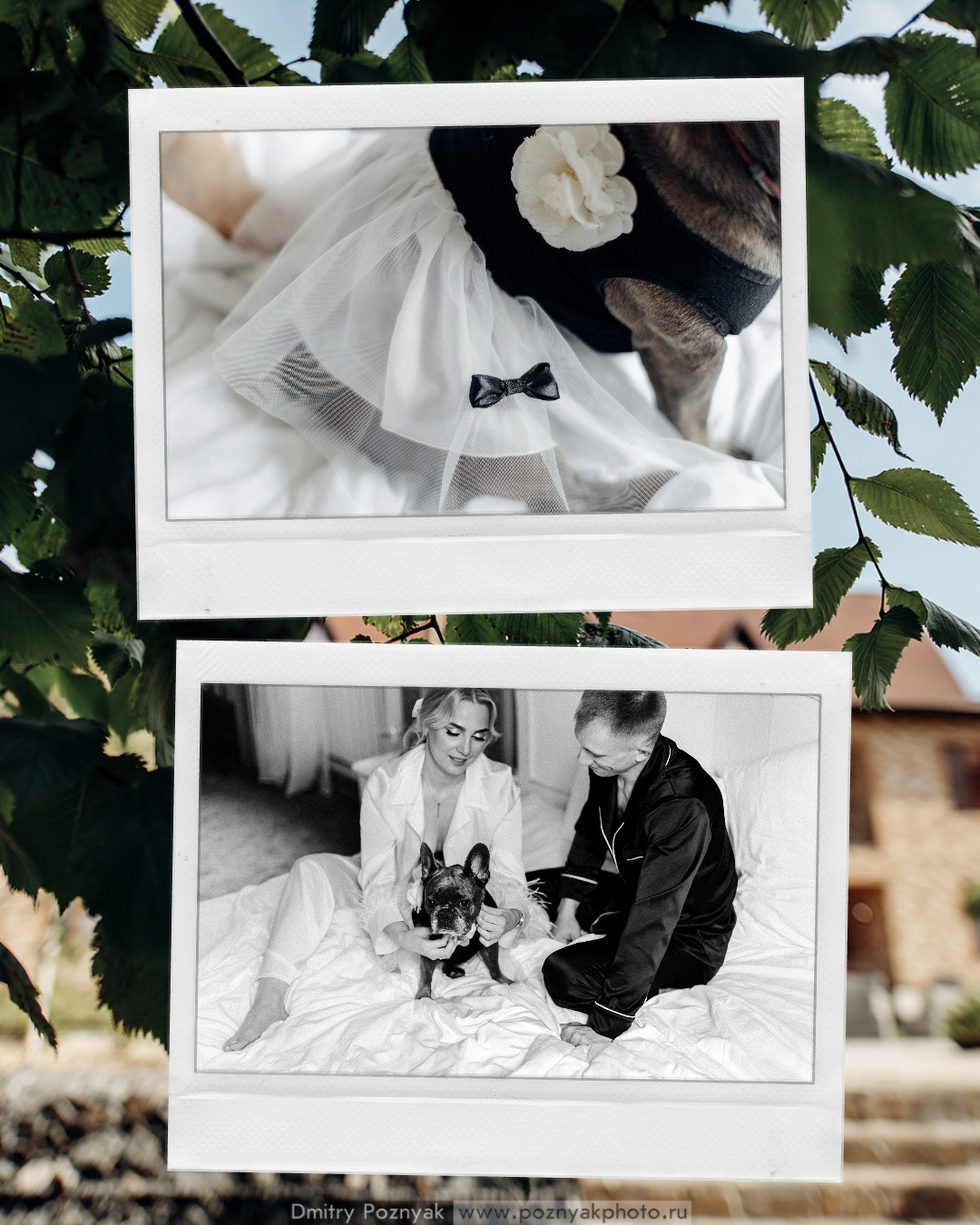 Втроём веселее. Дмитрий Позняк — свадебный фотограф в Брянске. Личный сайт фотографа