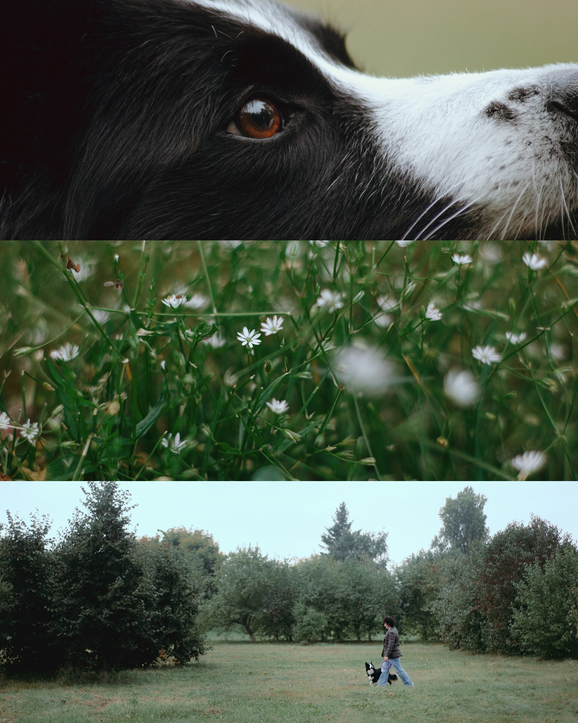 Условия. Фотограф в Тюмени Лизавета Сапицкая