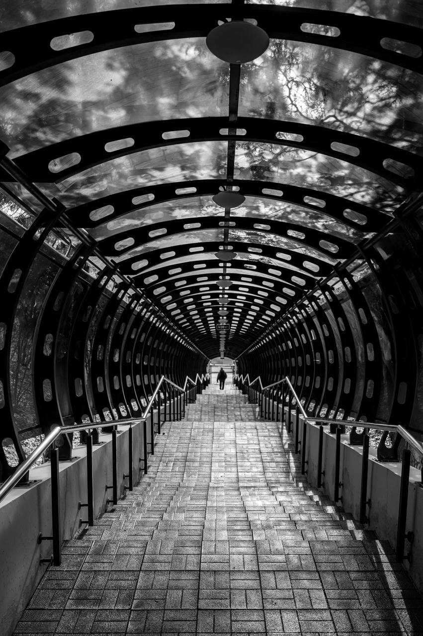 Анастасия Кутырина. Организация фотовыставок в Петербурге и Москве, MFamilia (МФамилия)