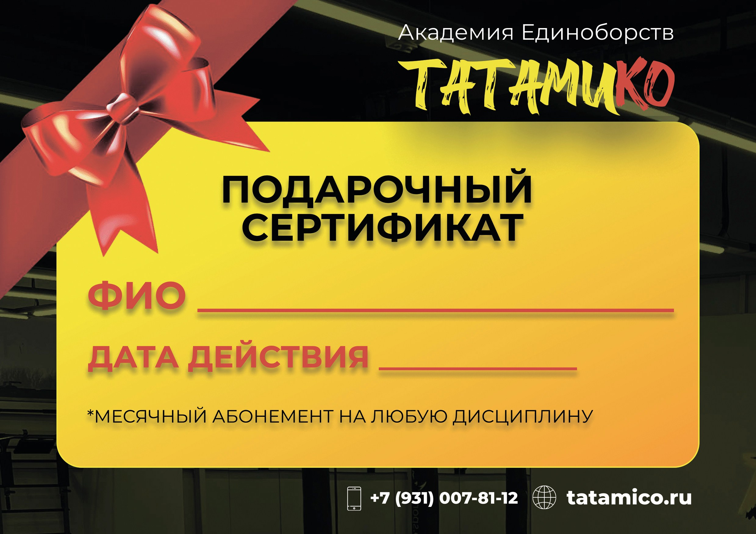 Академия Единоборств Татамико