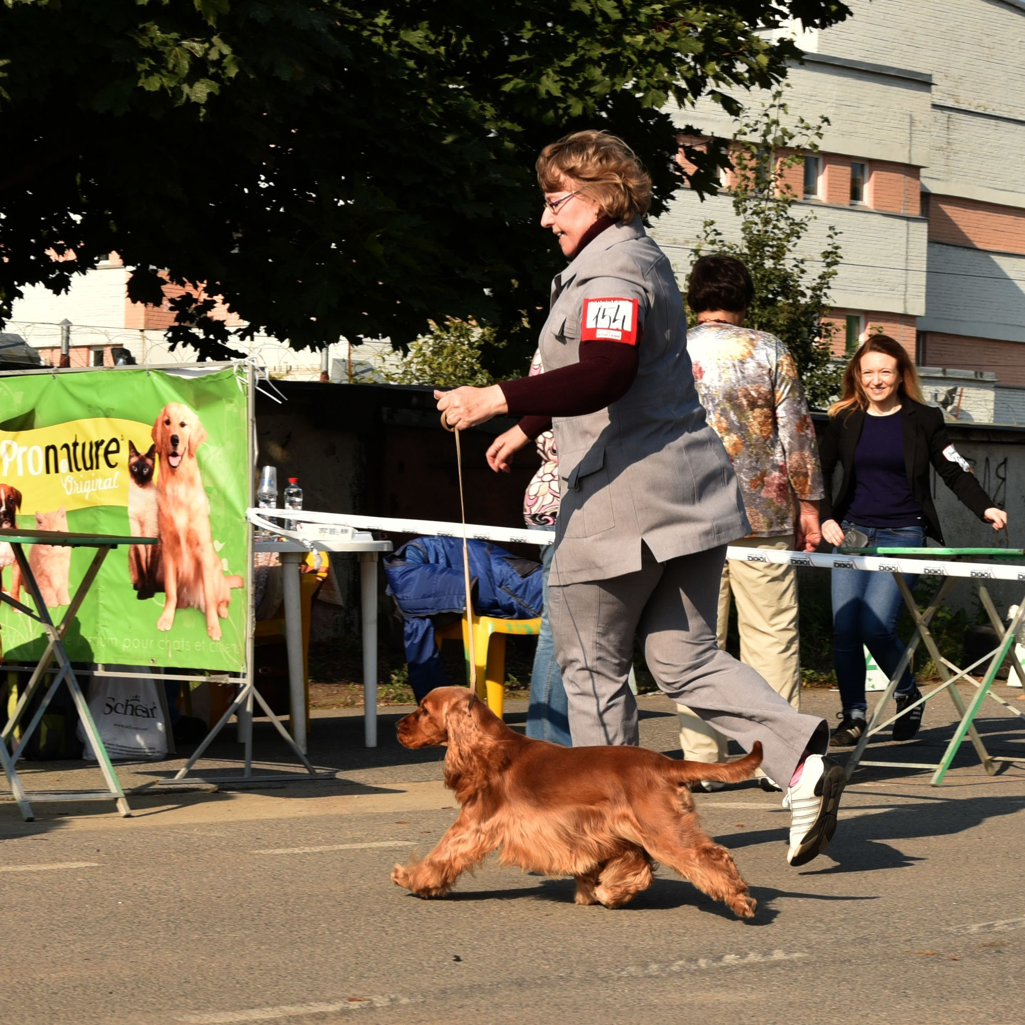 2015 г Результаты выставок. Питомник Йоркширских терьеров Дэнстайл в Санкт-Петербурге заводчик Тих