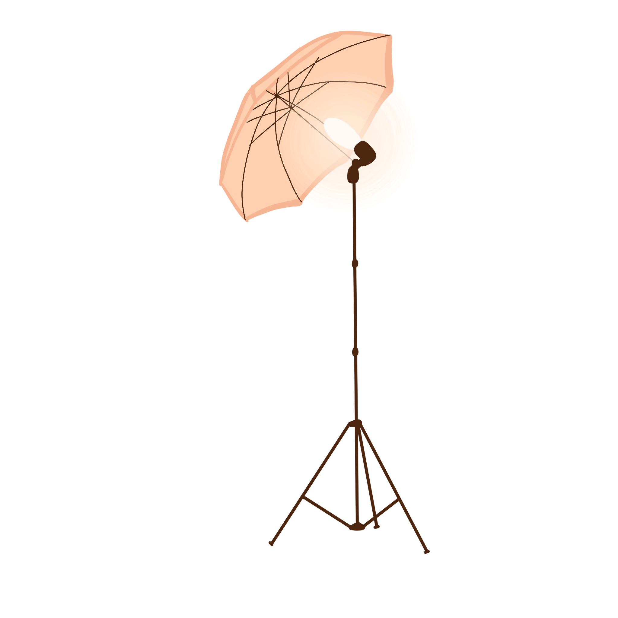 ОЧНОЕ ОБУЧЕНИЕ. Фотошкола с лицензией в Сочи