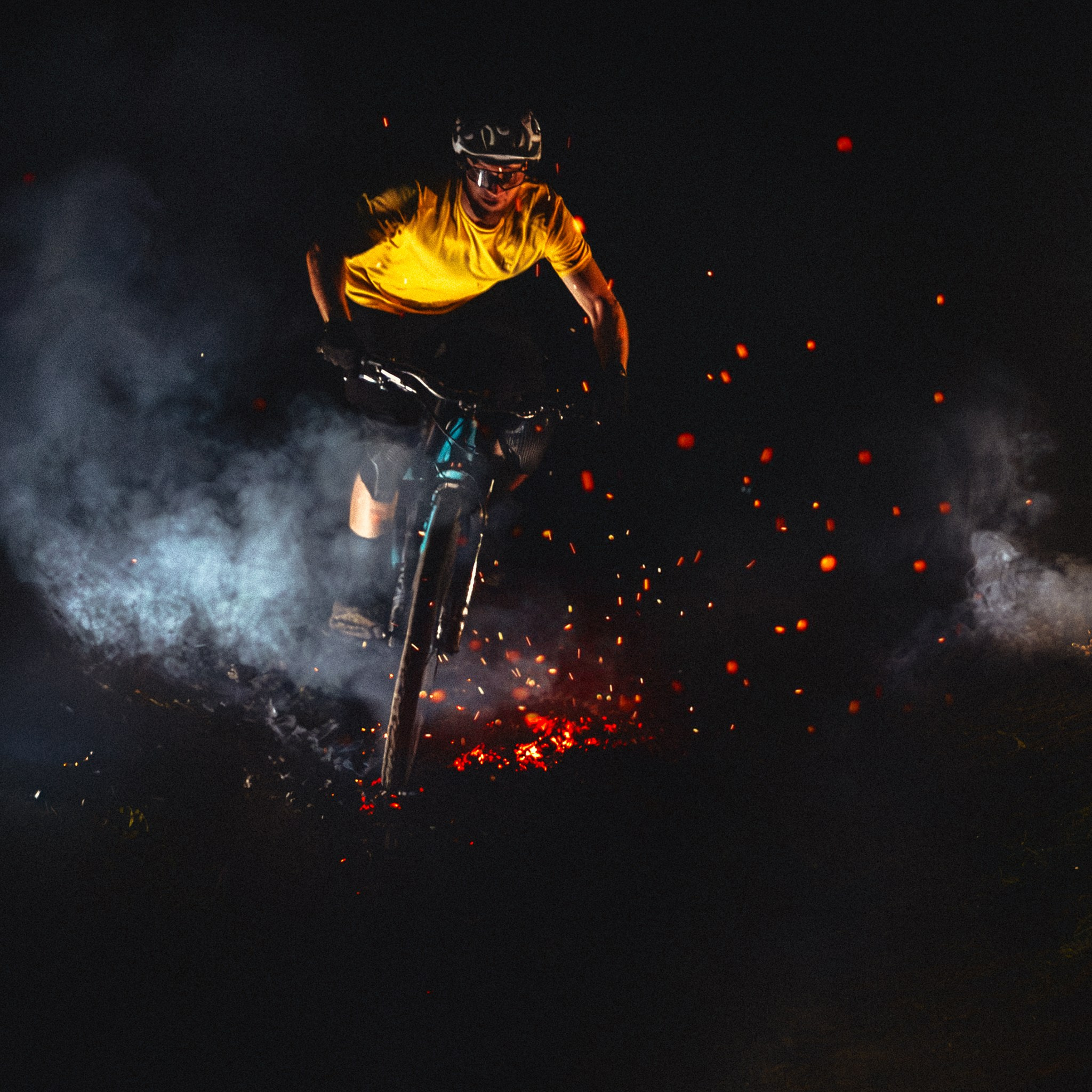 Фотограф анималист Никита Натальный