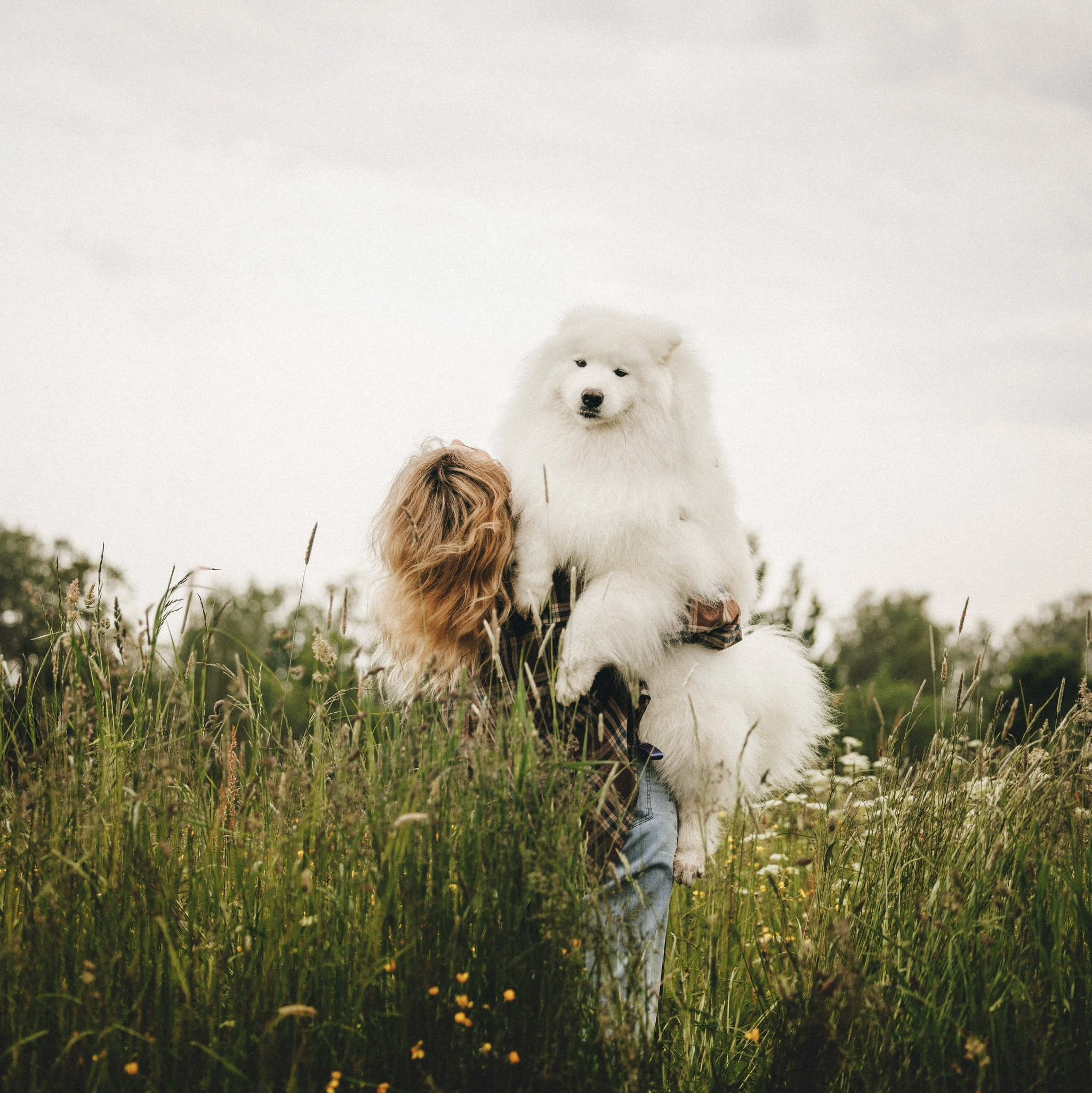 Прайс Москва. Фотограф анималист Осипчикова Мария