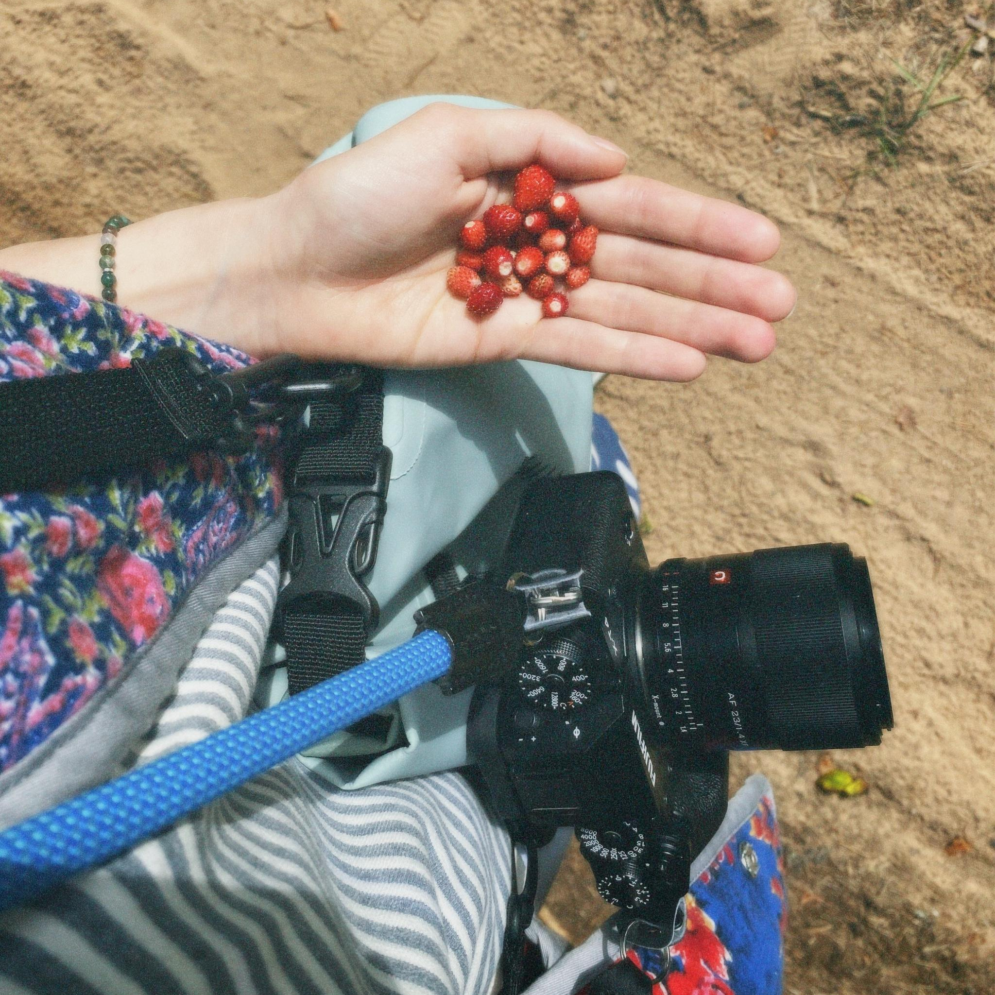 Услуги. Люся Новак. видеограф и фотограф. Москва