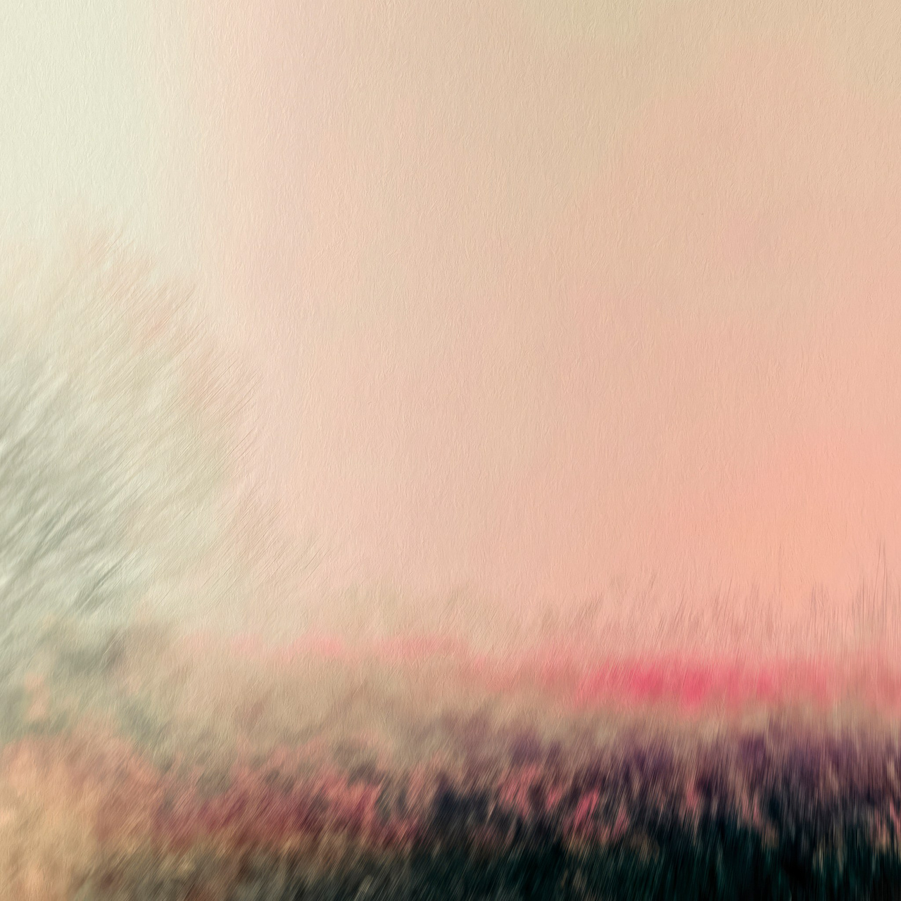 Наедине с собой. Сад камней. Visual artist