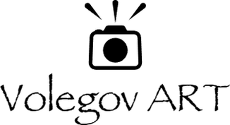 volegovart.ru