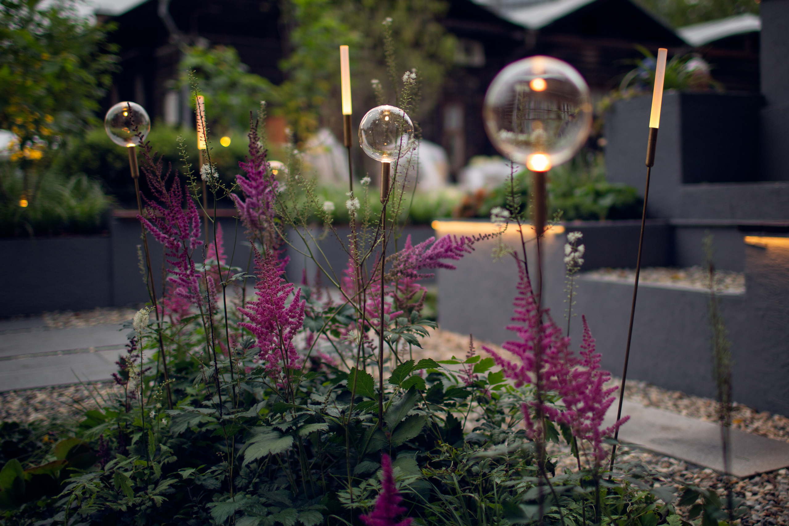 Услуги. Фотограф Наталья Молчанова