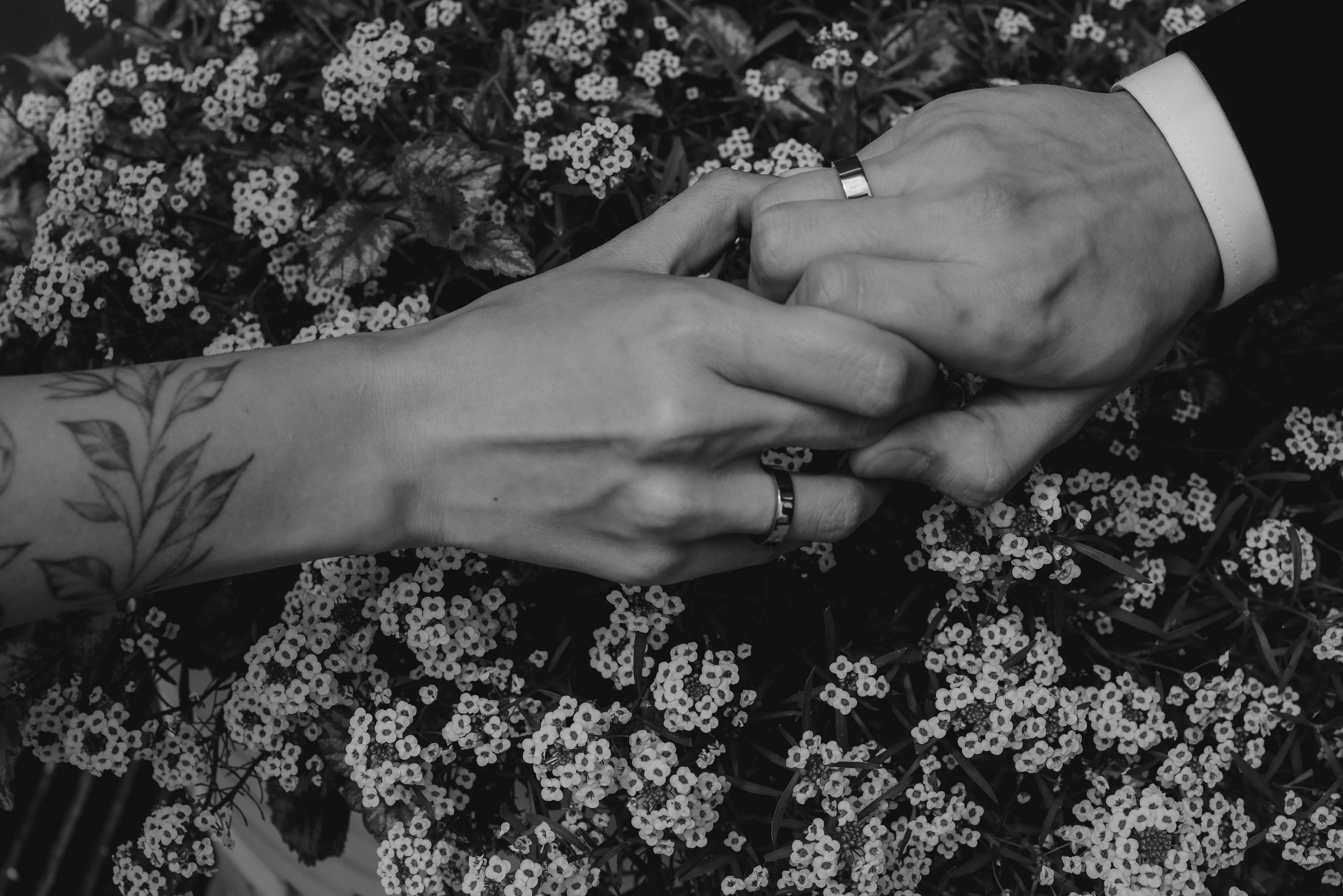 Семейная фотосессия. Фотограф Таня Плотникова