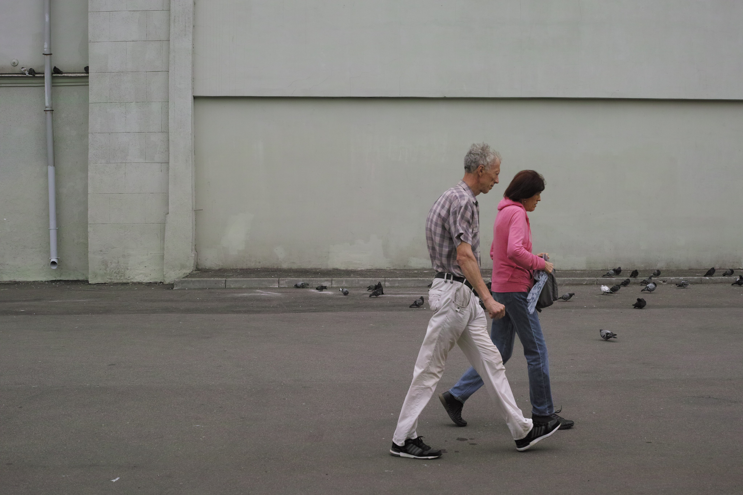 Художник. Фотограф