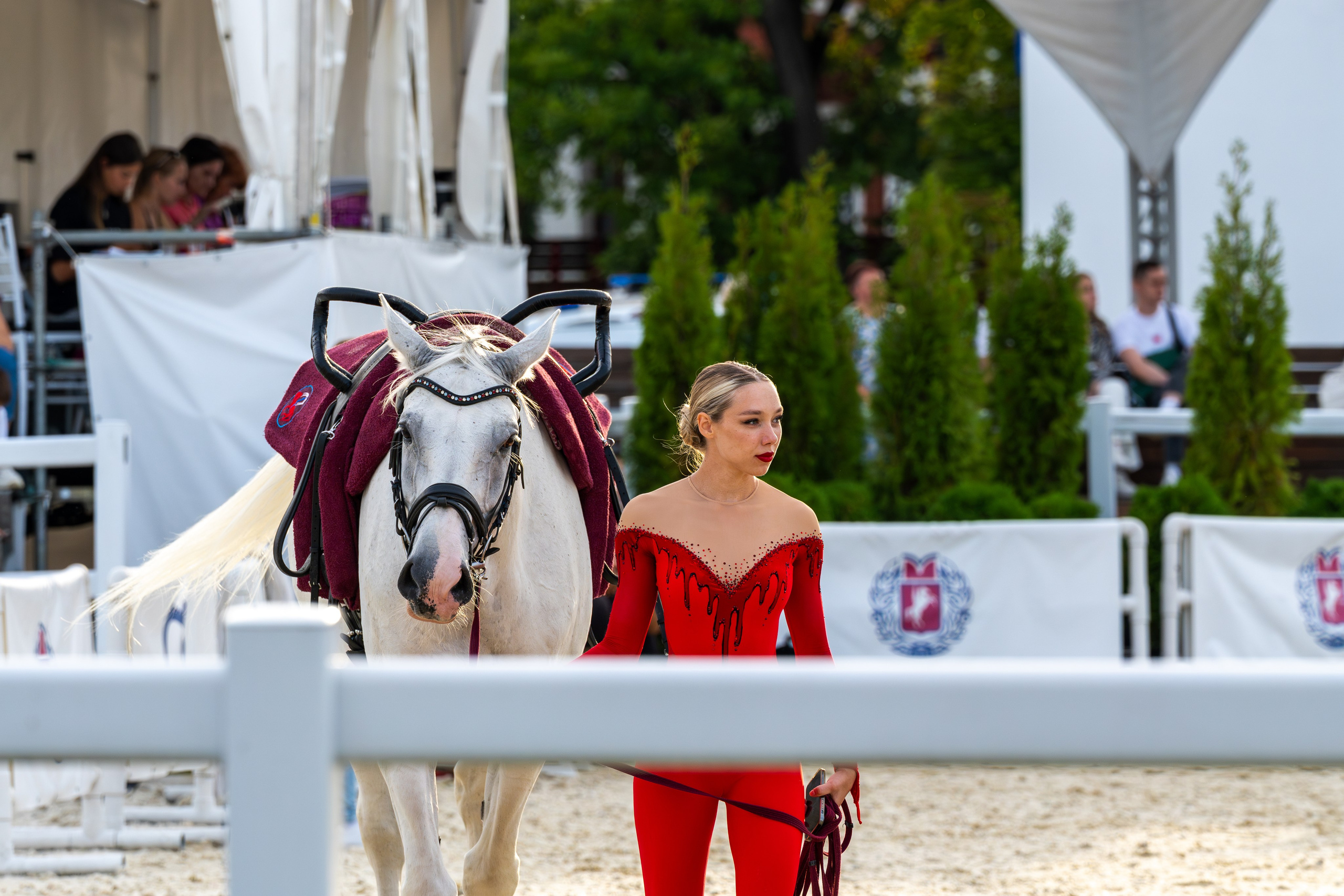 Лошадки. Вячеслав Ка