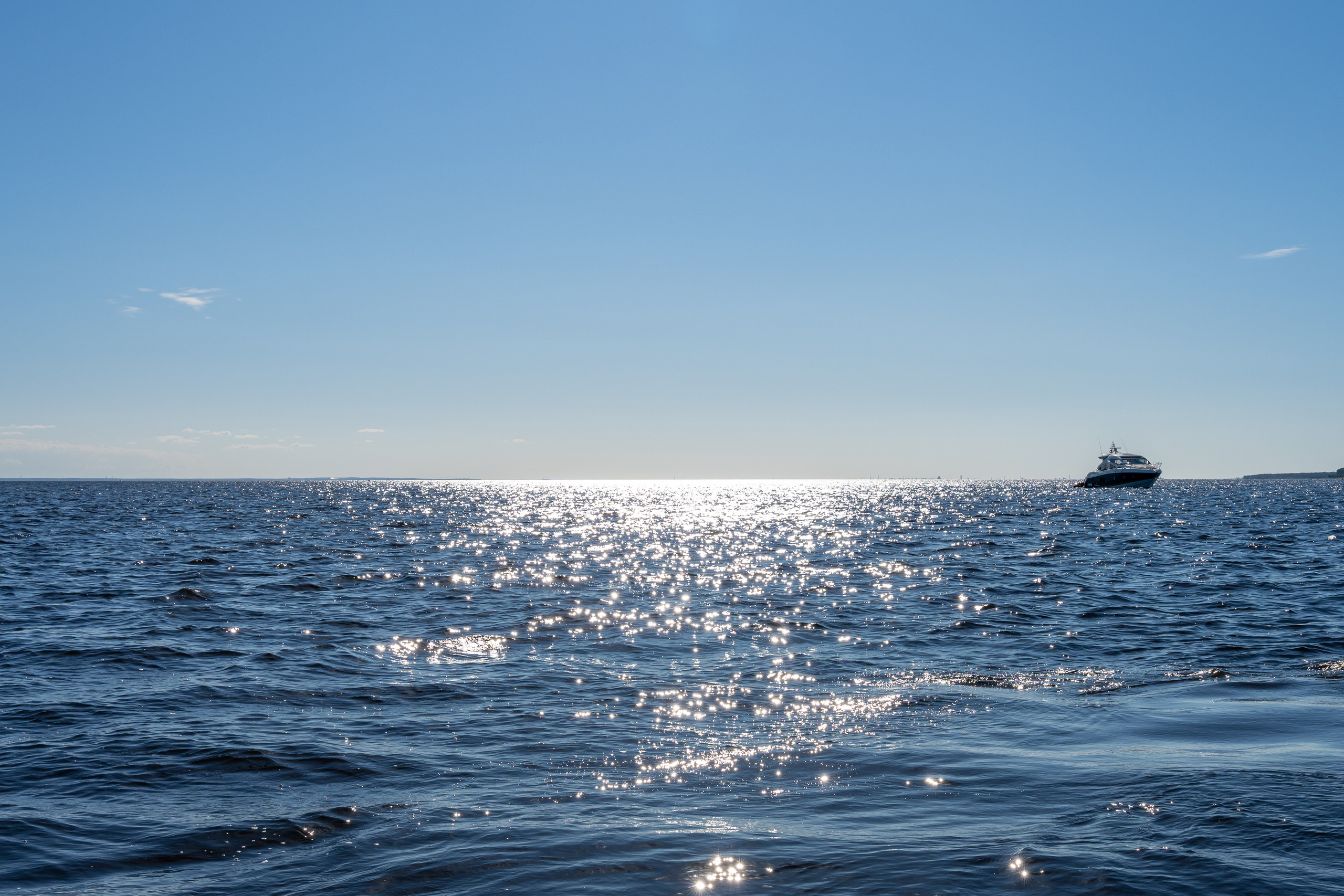 Невская губа в Санкт-Петербурге