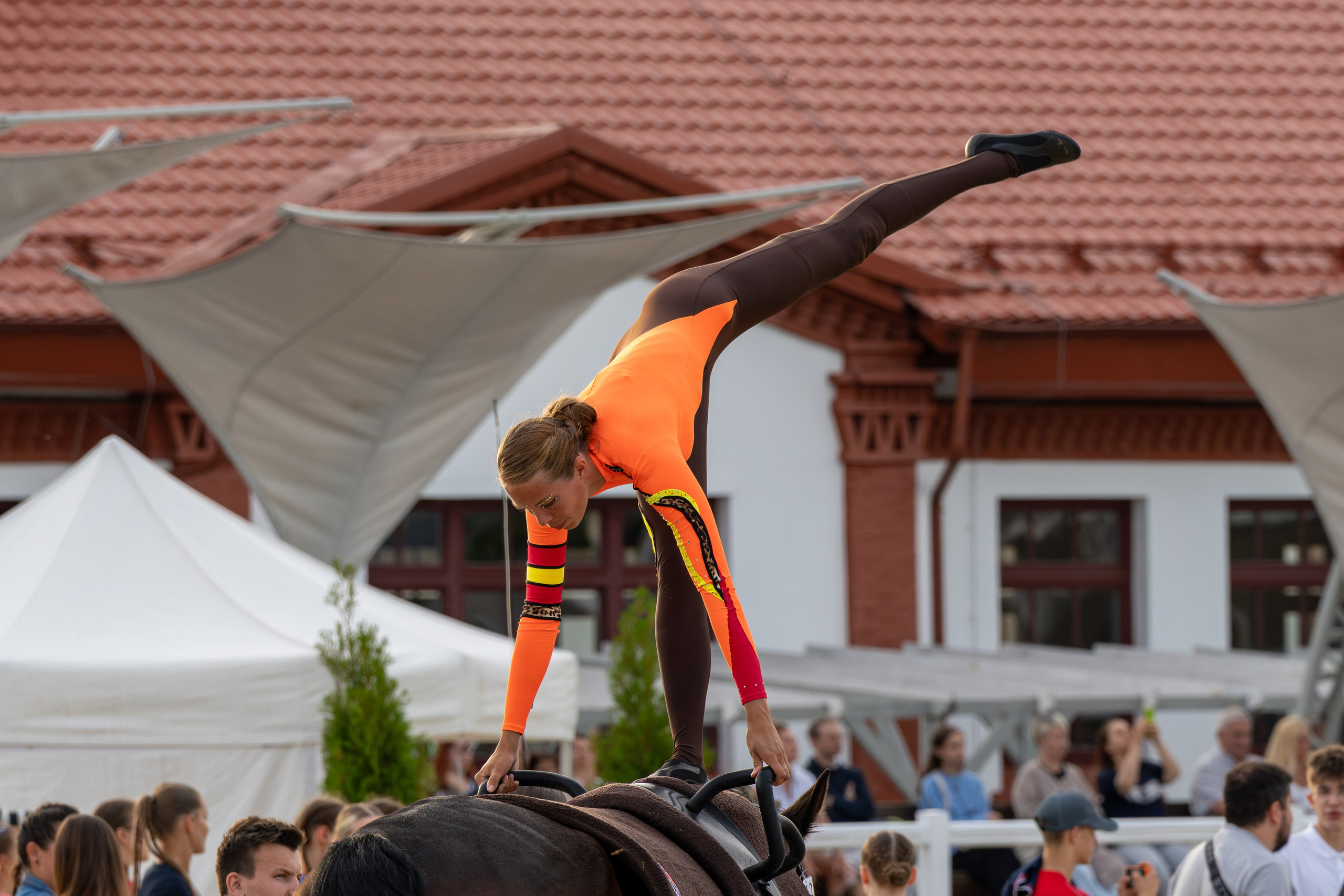 Лошадки. Вячеслав Ка