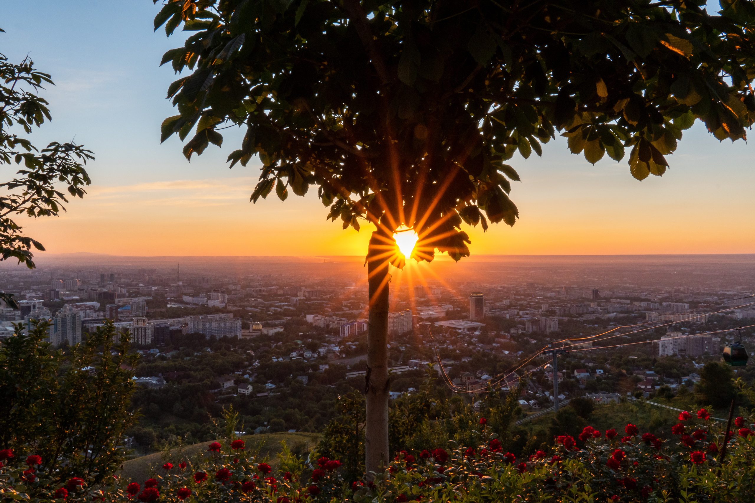 Заказ на горе Кок-Тобе в Алматы