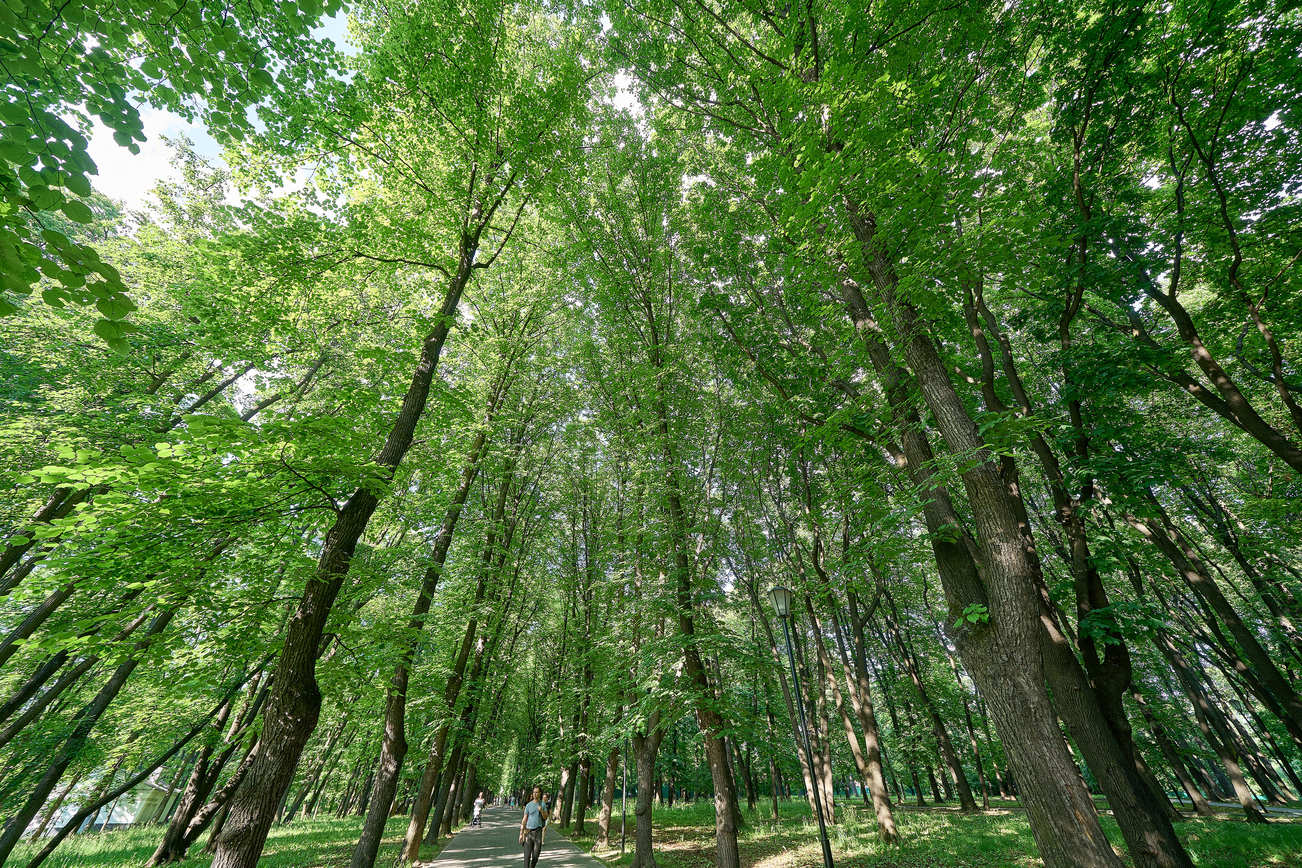 Лефортовский парк