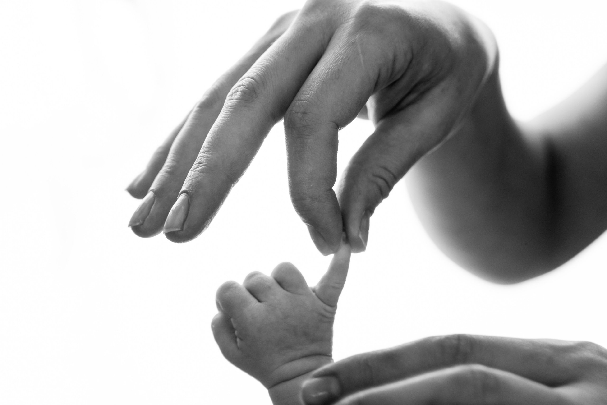 ПРАЙС NEWBORN. Фотосессия беременности в Барнауле