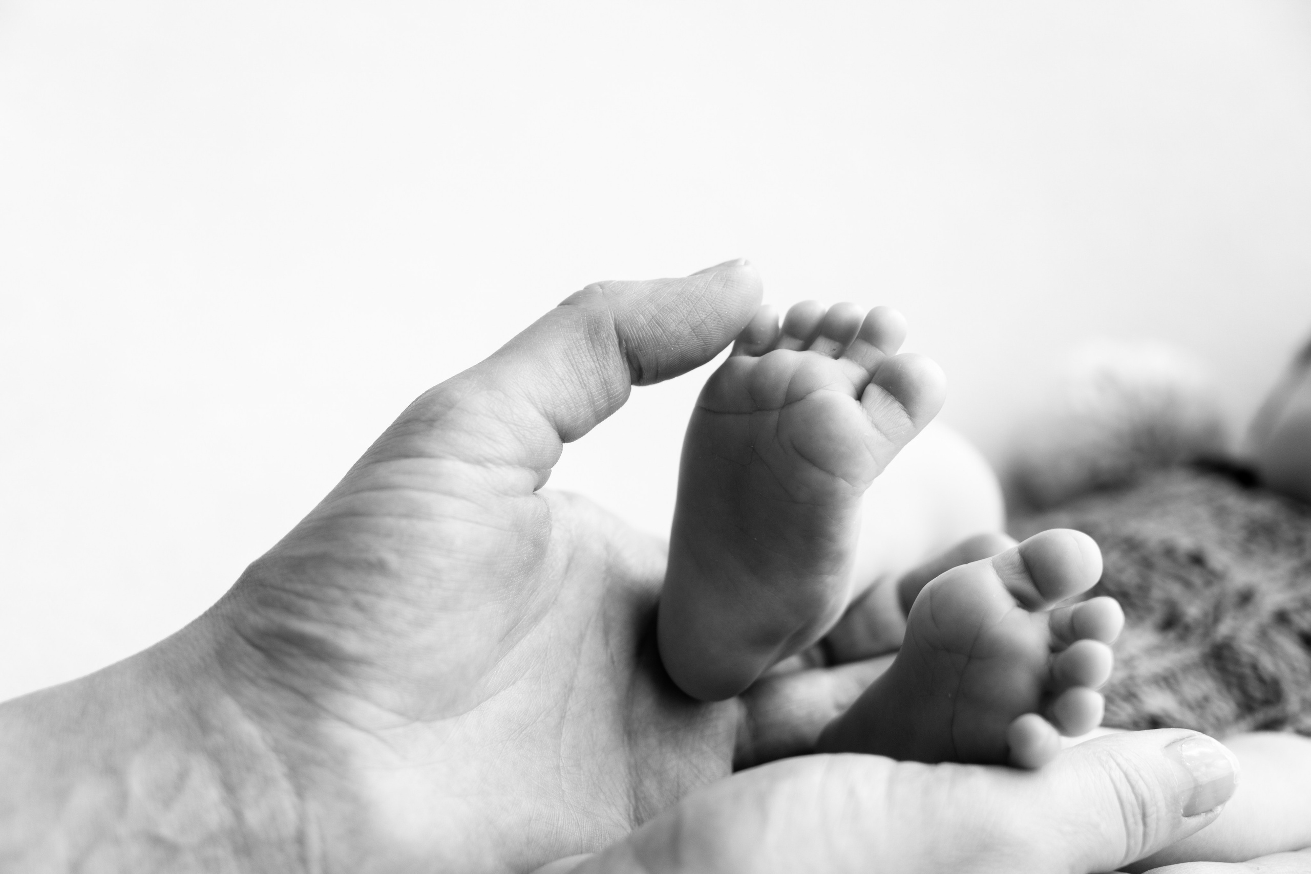 ПРАЙС NEWBORN. Фотосессия беременности в Барнауле