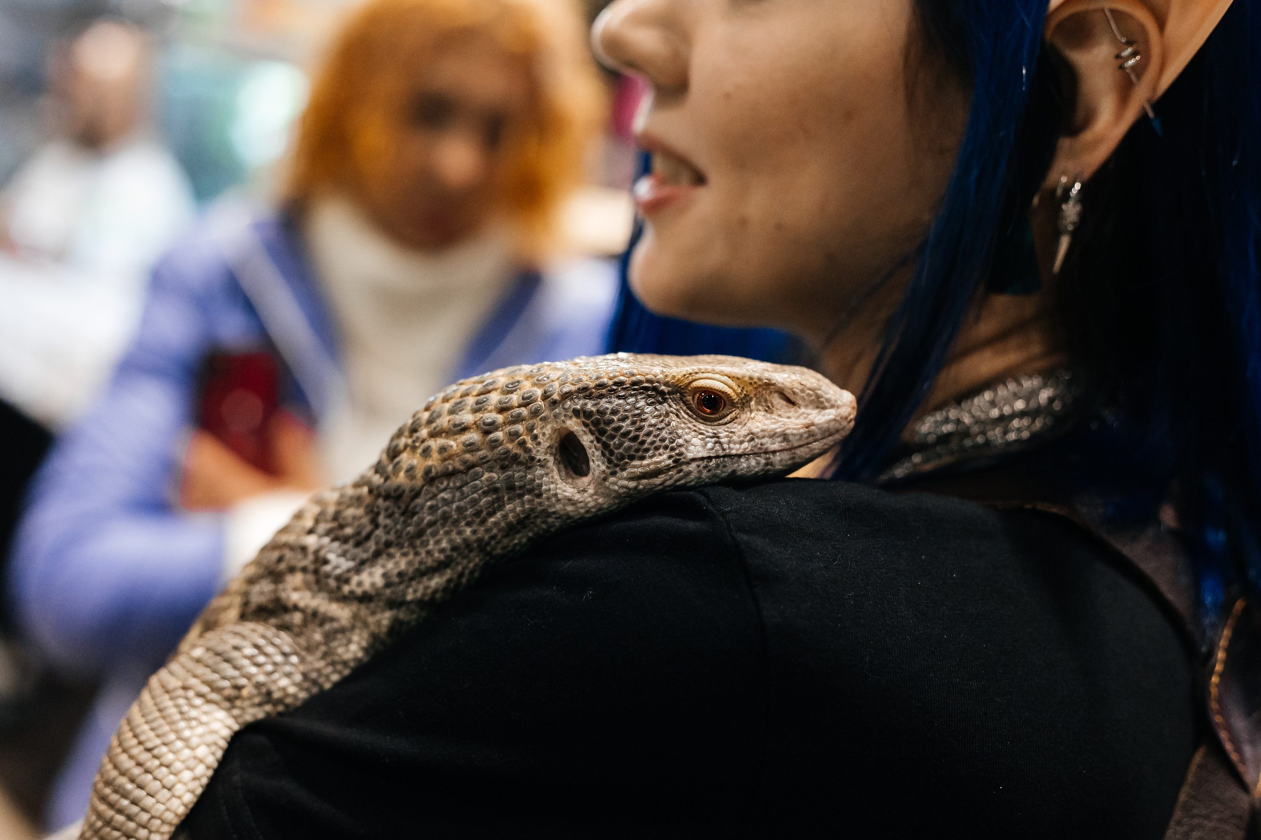 Рептилиум — Выставка продажа экзотических животных. Галина Шарапова Детский и семейный фотограф Москва
