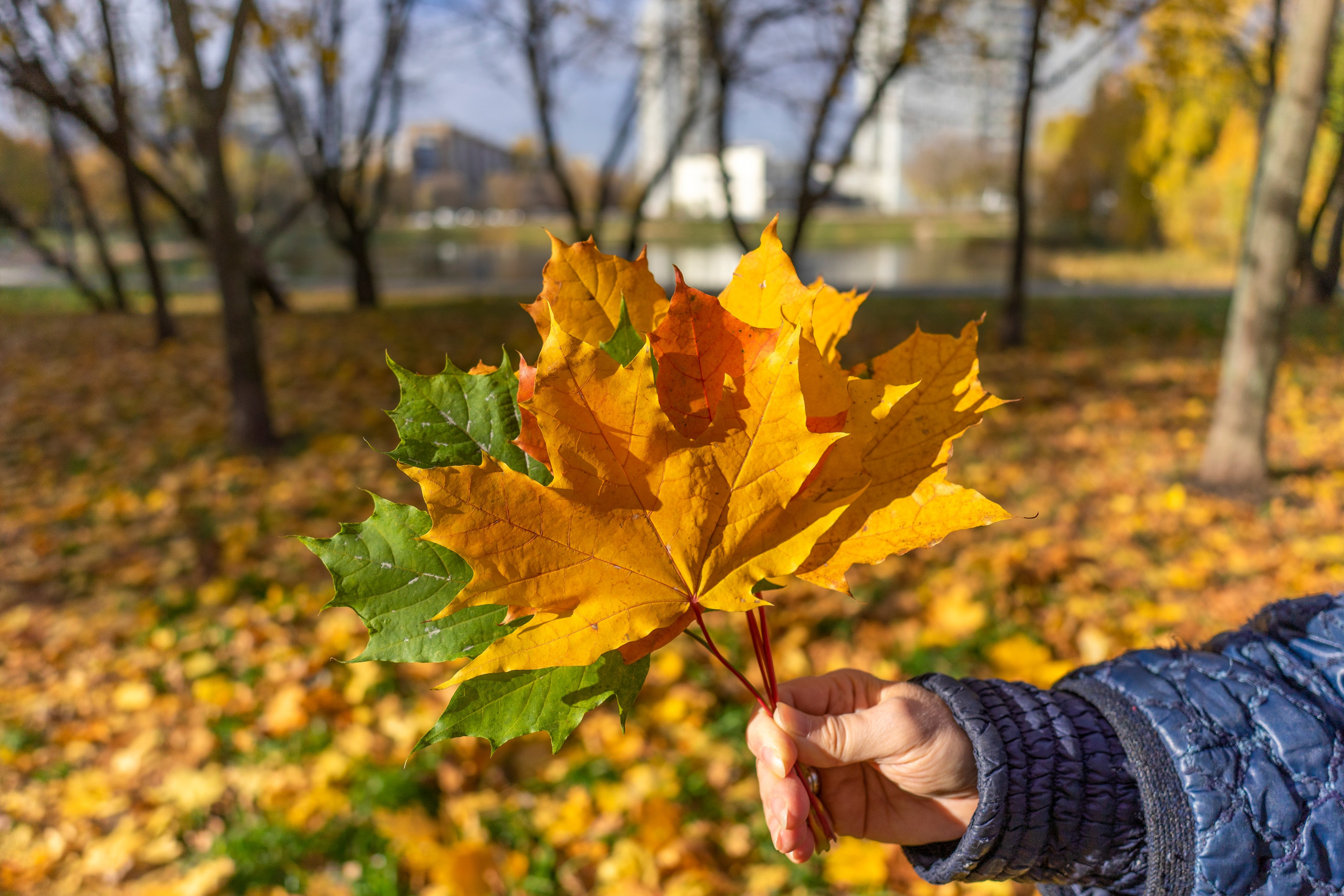 Авторские фотографии Чугунова Николая