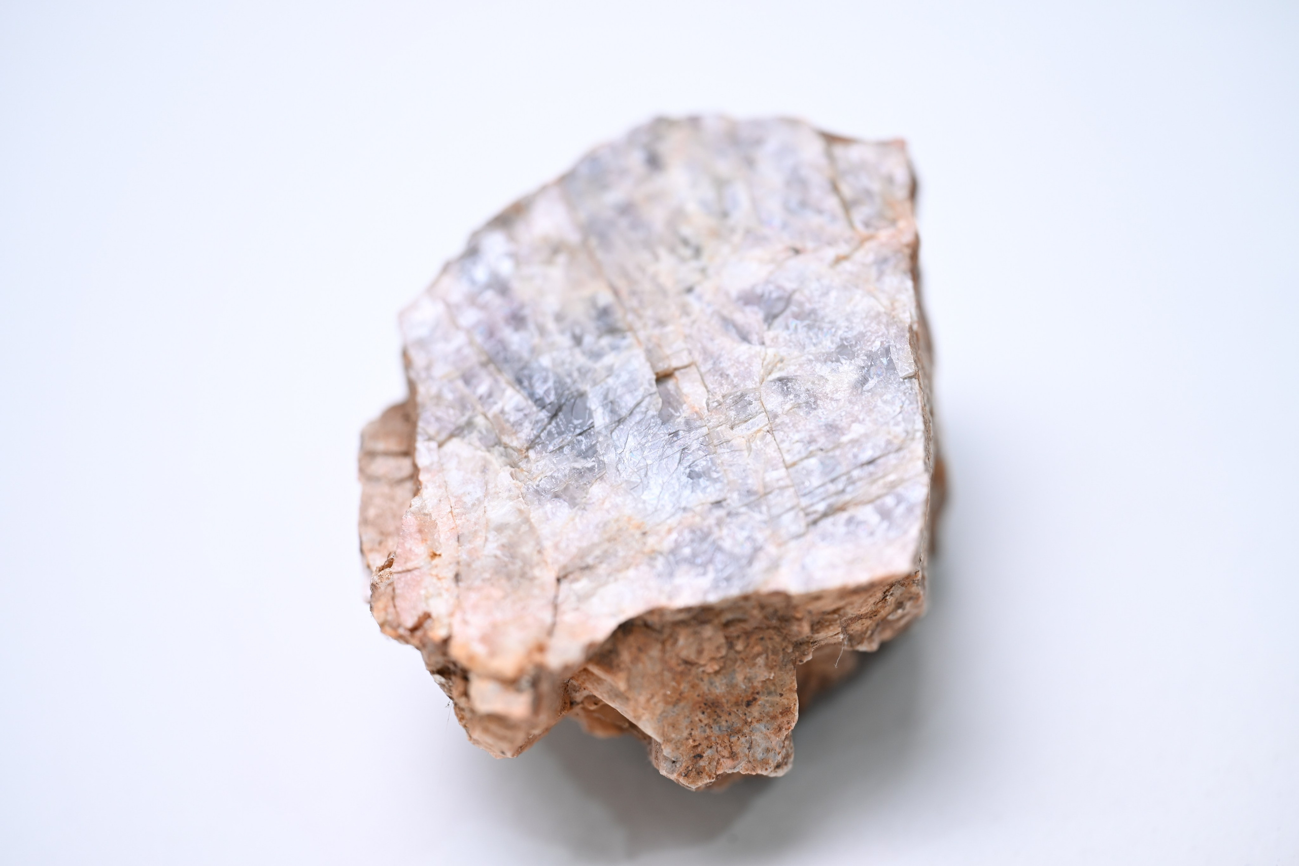 Curriculum Vitae. Артур Бахтин