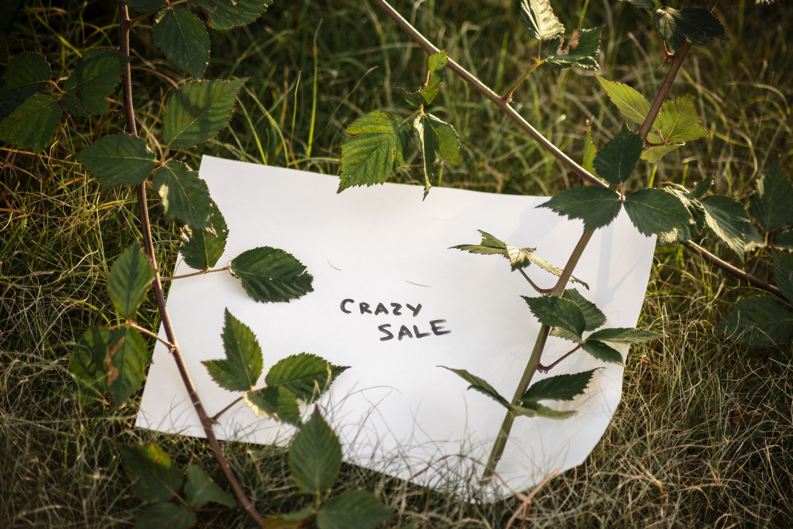 Investment. Wedding photographer Oklahoma US