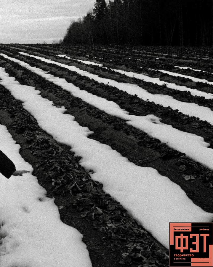 Альбом 22.03.26 в рамках ФЭТ