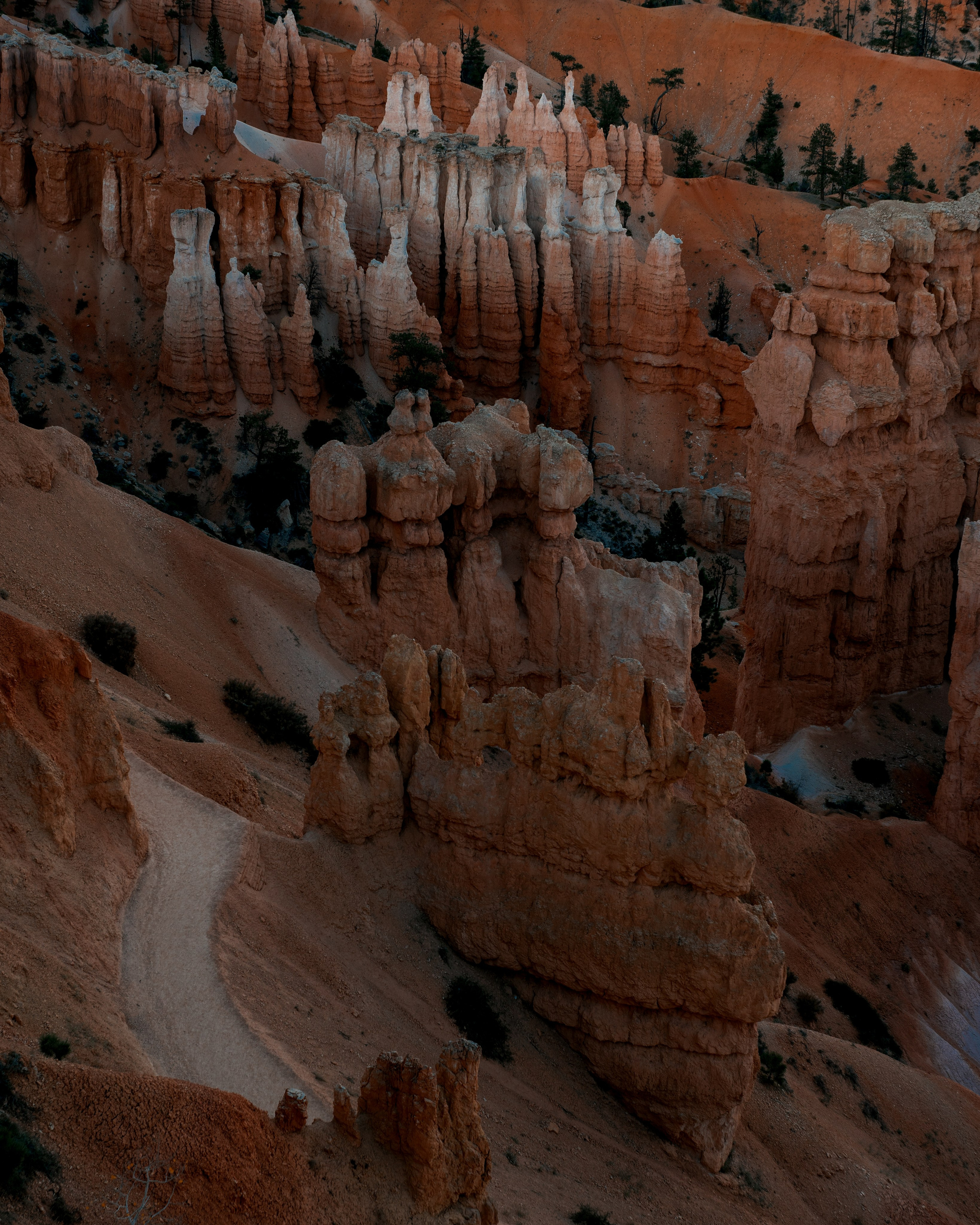 PRINT. Art Photographer Anastasiia Maiskaya