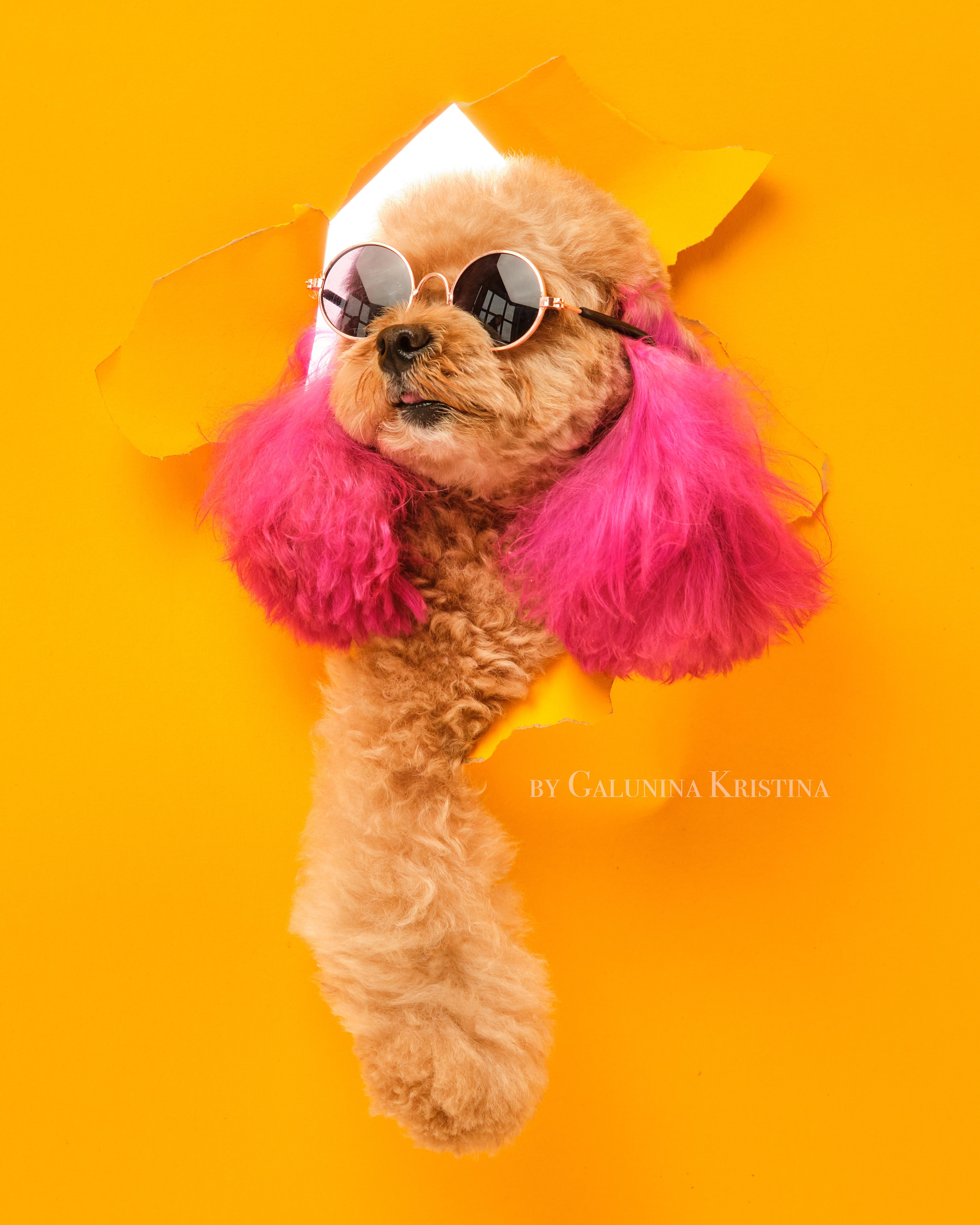 Фотограф в Москве — Галунина Кристина