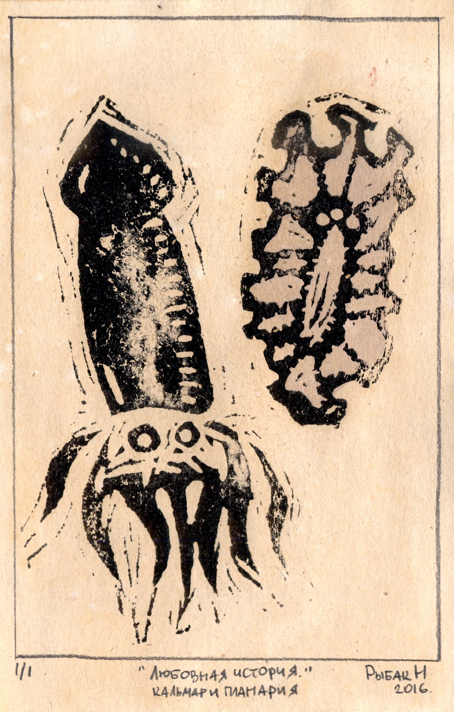 Серия Морские беспозвоночные. Художник Рыбак Николай