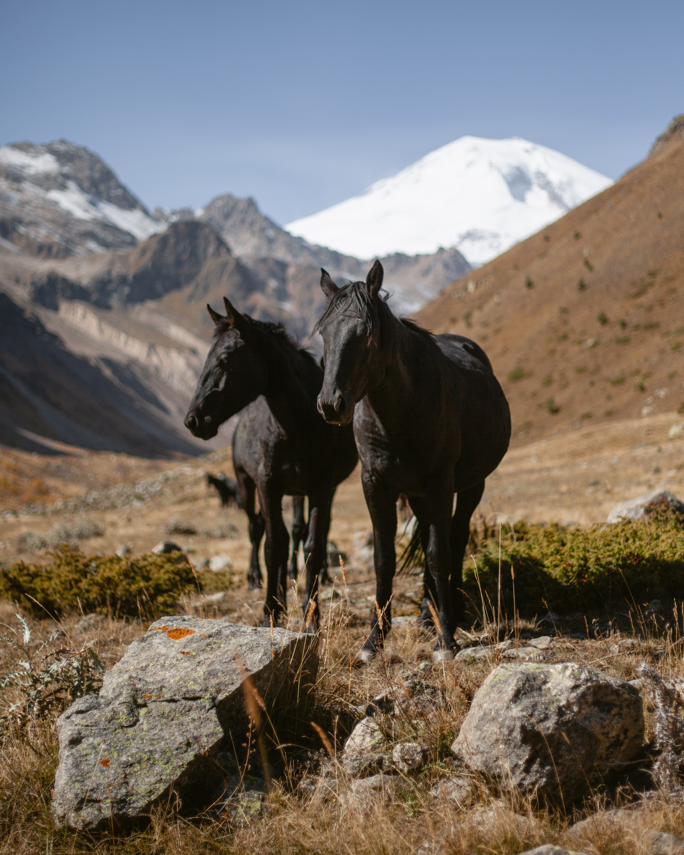 Дневник удач. Уникальные экспедиции — LUCKY CLAN