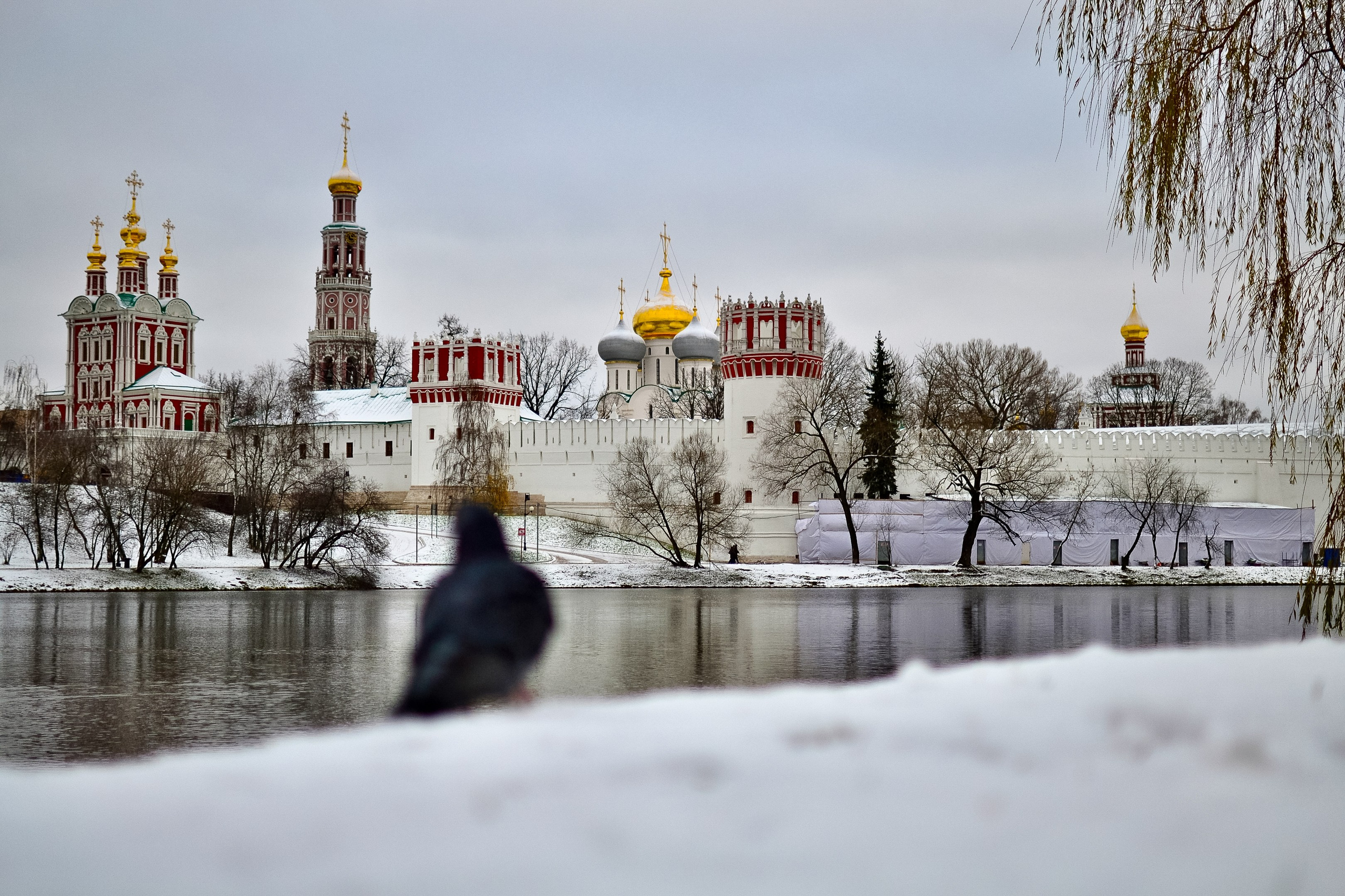 Услуги. Семейный, уличный и пейзажный фотограф в Москве Никифоров Виктор