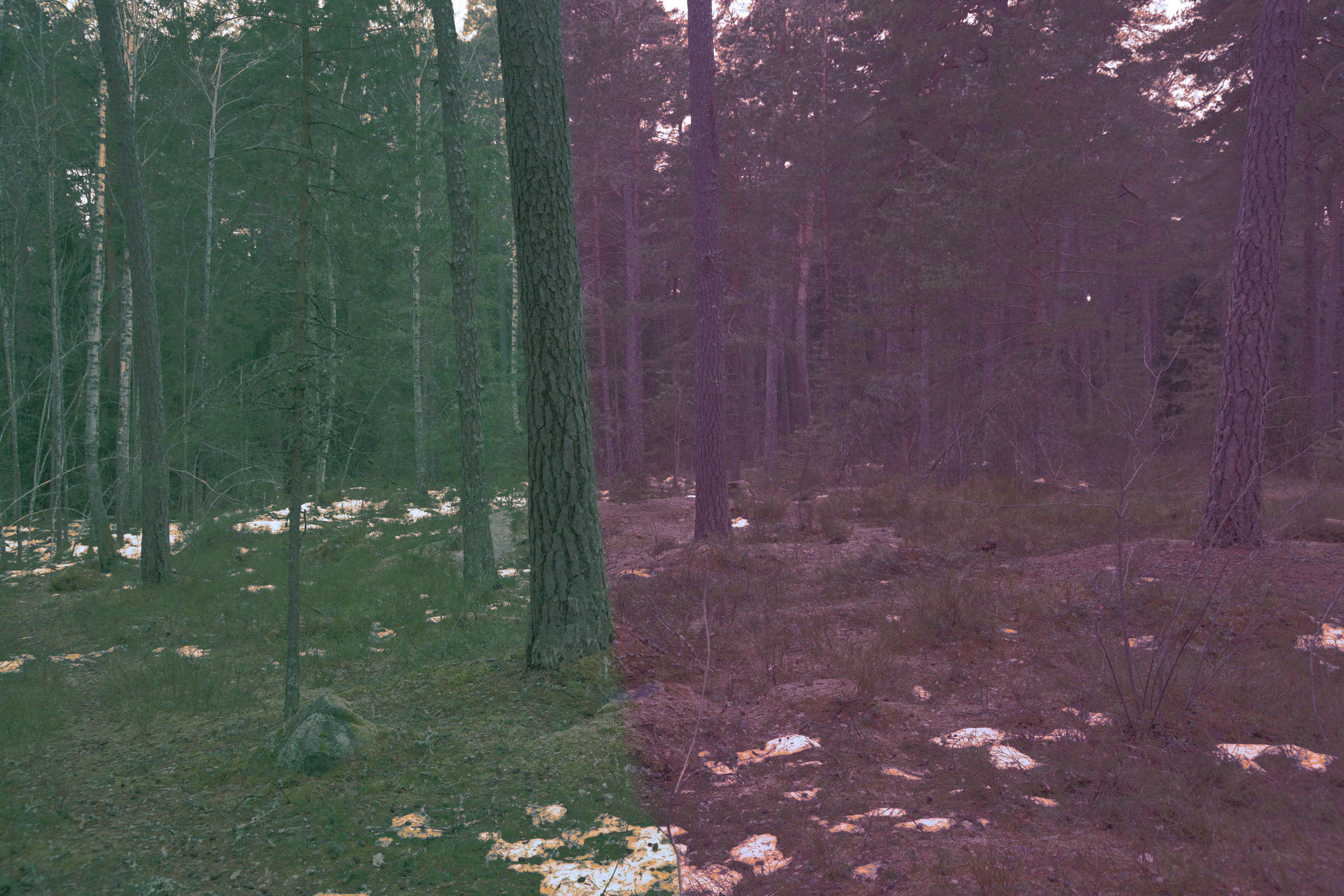 NFT. Aleksandr Nariadchikov — Visual Artist & Game Developer