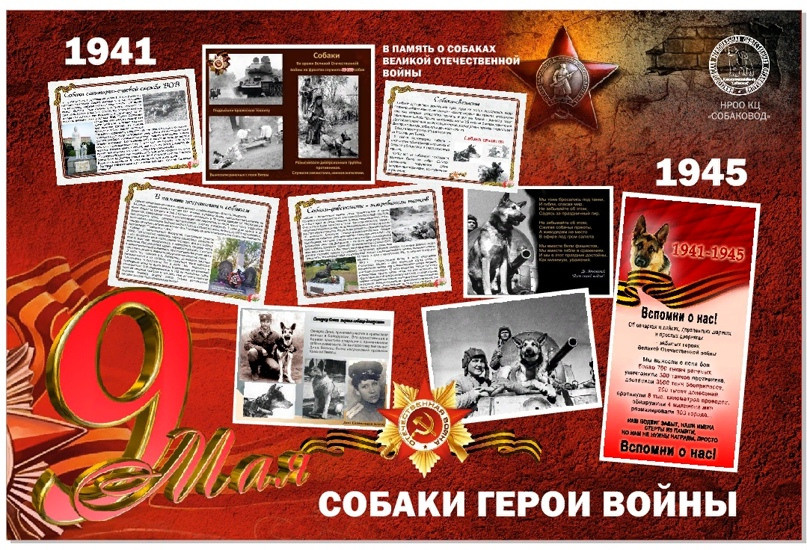 Праздник посвященный героям ВОВ-кинологам и их собакам. НРОО КЦ "Собаковод"