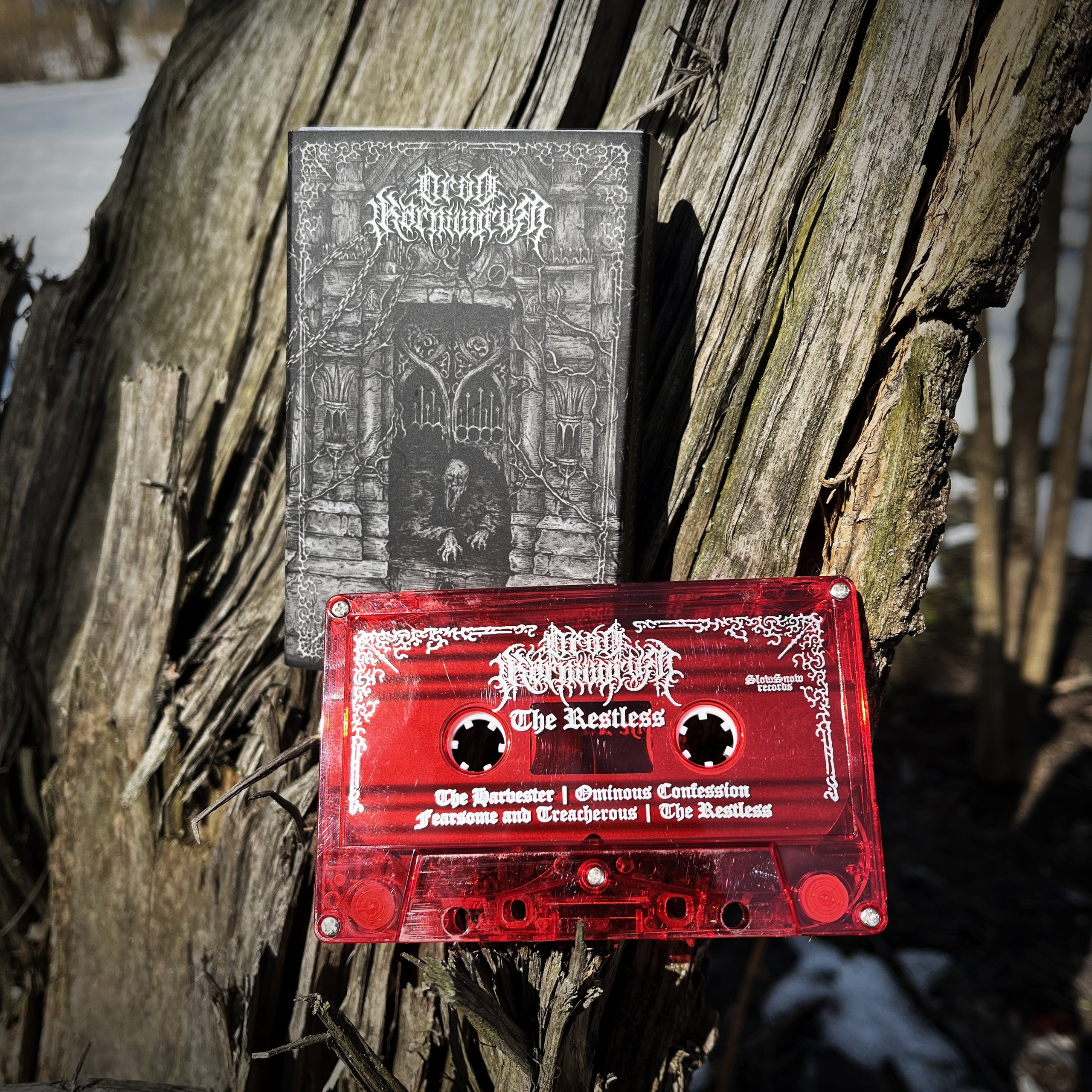 Ordo Karnivorum | metal logo design & creation. GNOIZM | Metal Logos & Dark Lettering