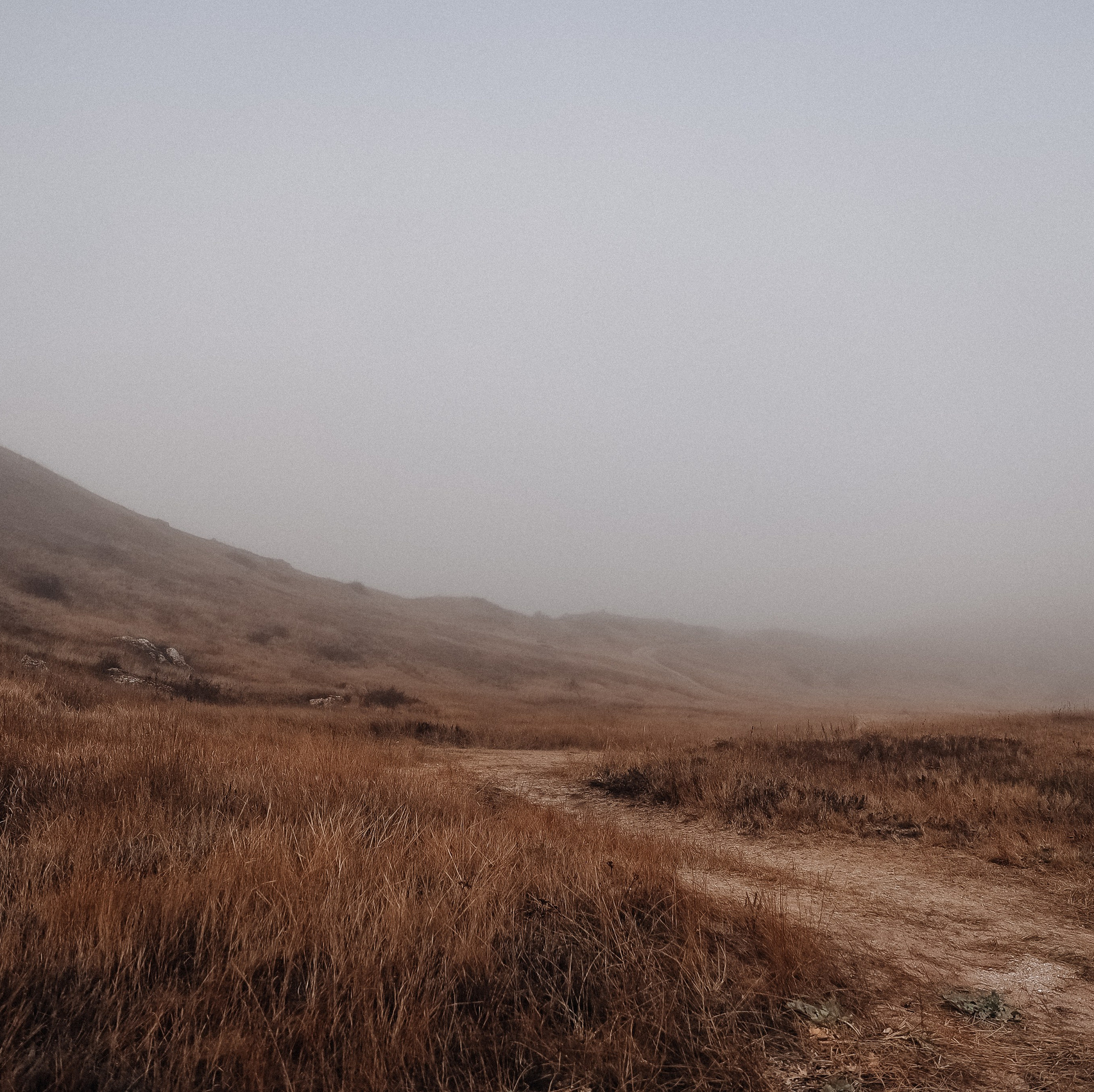 Услуги. Фотограф в Новосибирске