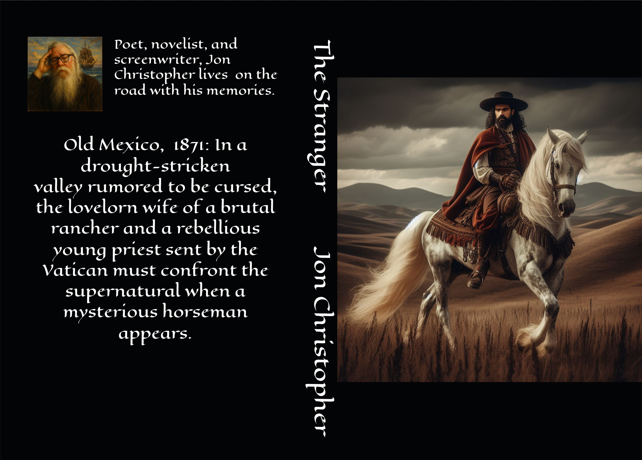The Essence of the Pirate. Exclusive Closing Gifts for Top Realtors | Custom House Portraits by Yulia Yurchevskaya