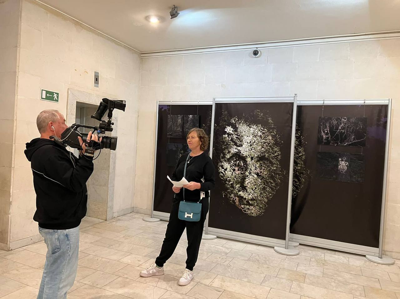 Exhibition “Paradoxes of evolution” Darwin Museum. Moscow 2022. Irek Shamanaev. Visual artist