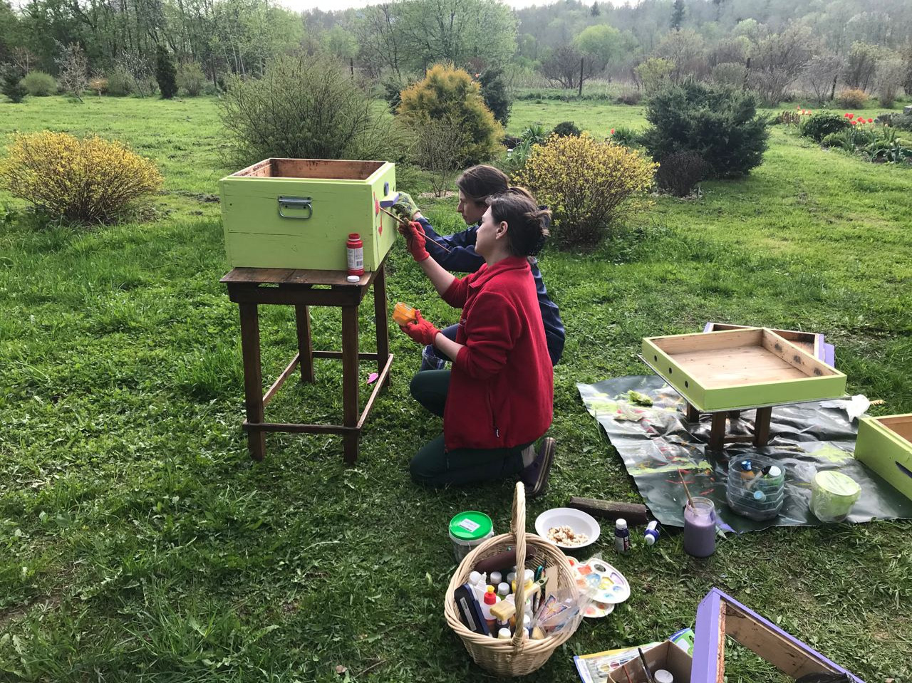 Что происходит на эко отдыхе в эко отеле в Подмосковье. Эко отдых в Подмосковье в эко-отеле Марии Гиппенрейтер