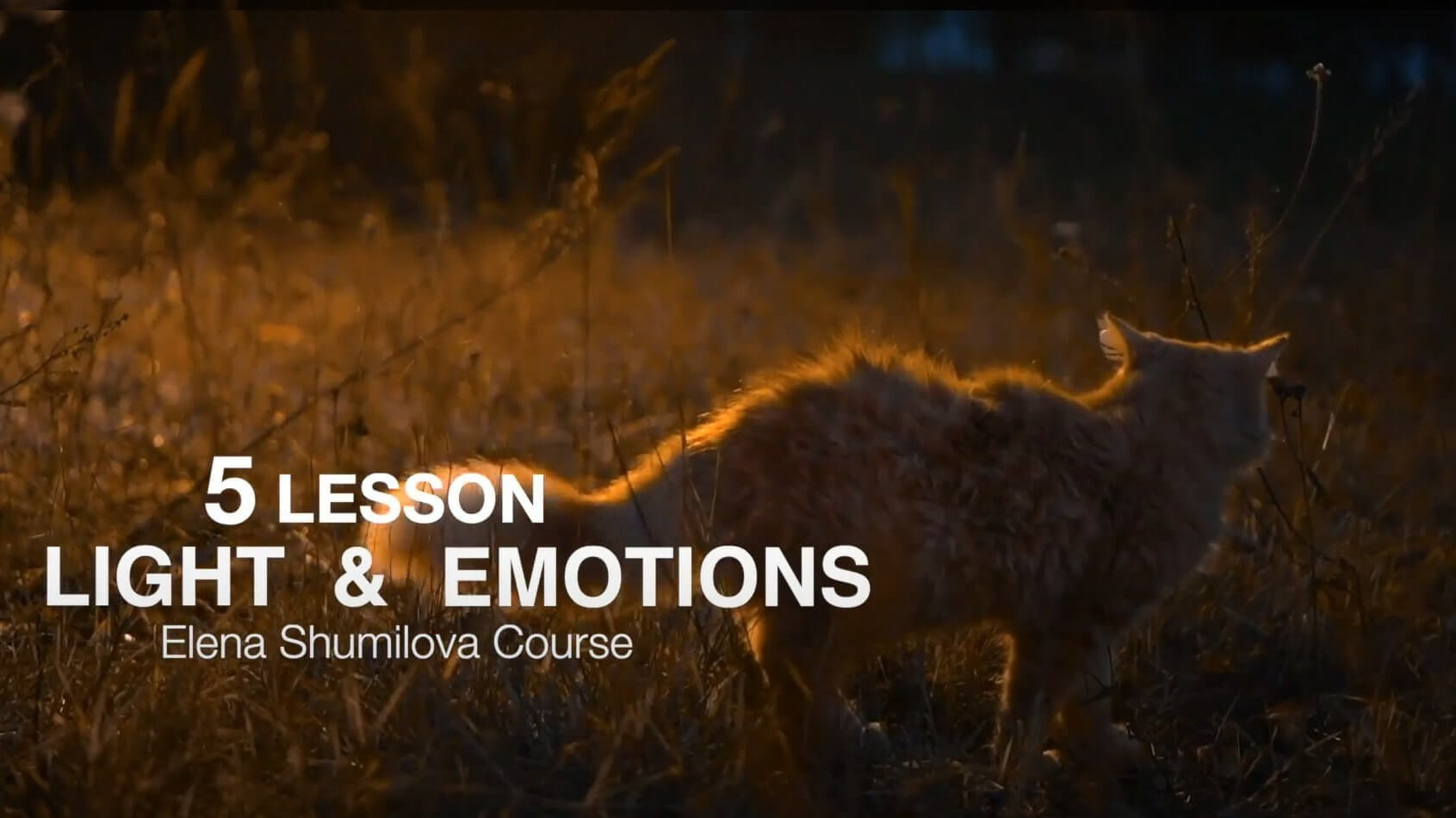 Online Course in English. Елена Шумилова