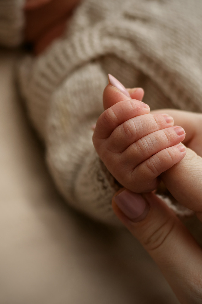 Услуги фотографа Елены Манжелей. Выпускные альбомы для школьников в Череповце